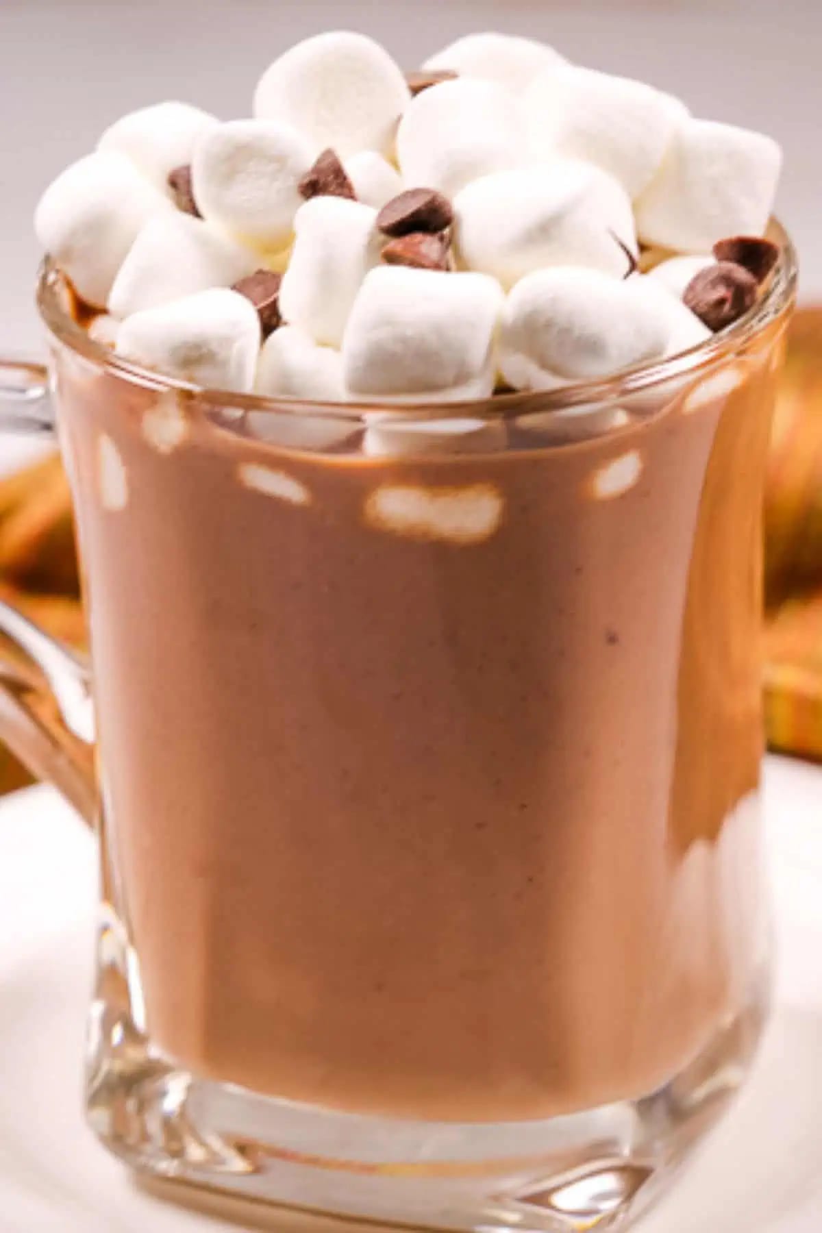Crock Pot Hot Cocoa