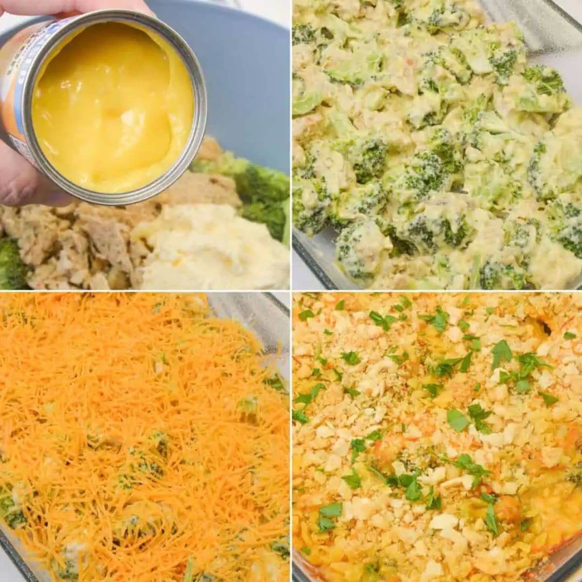Chicken Broccoli Divan