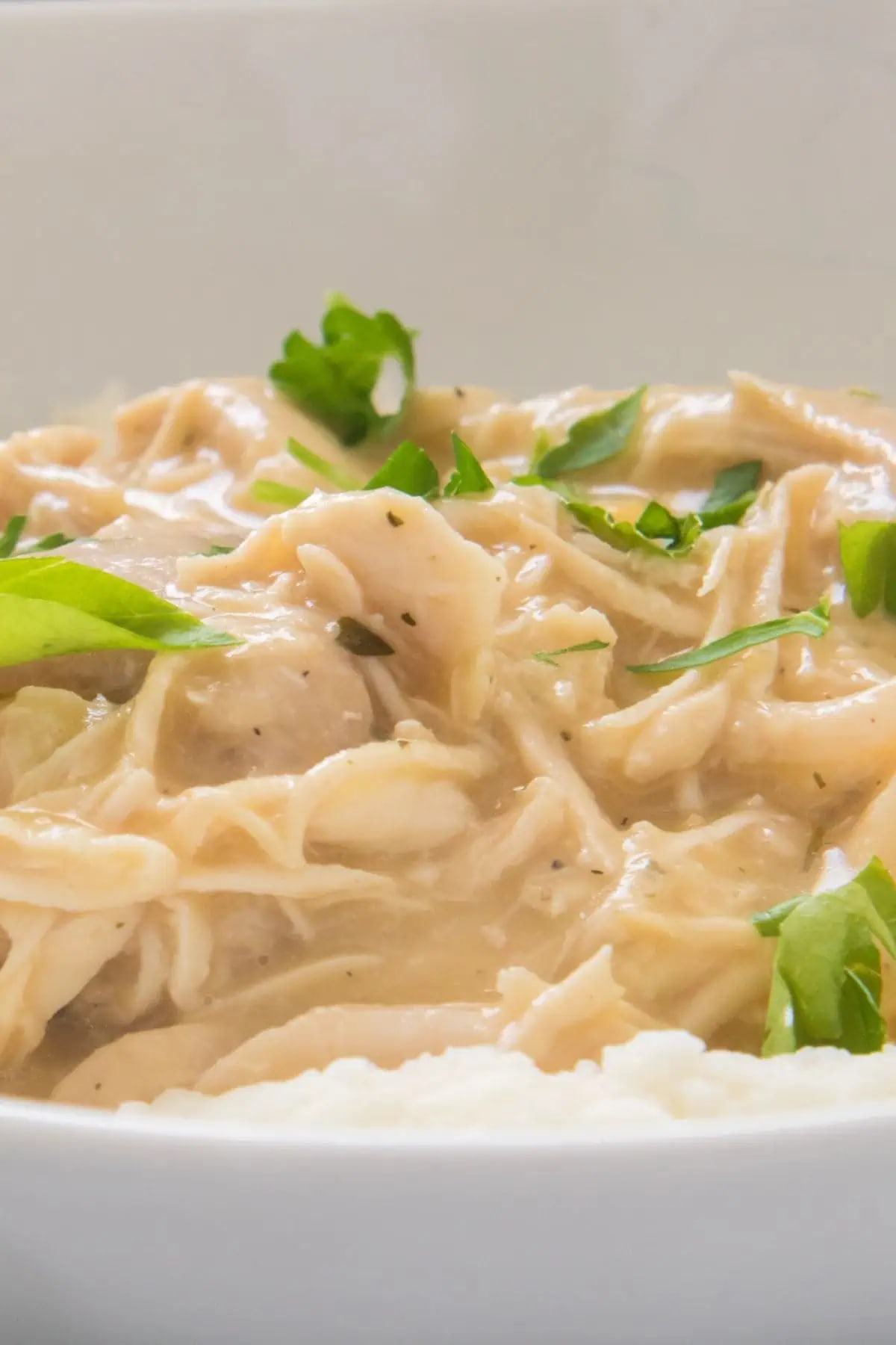 Slow Cooker Chicken and Gravy