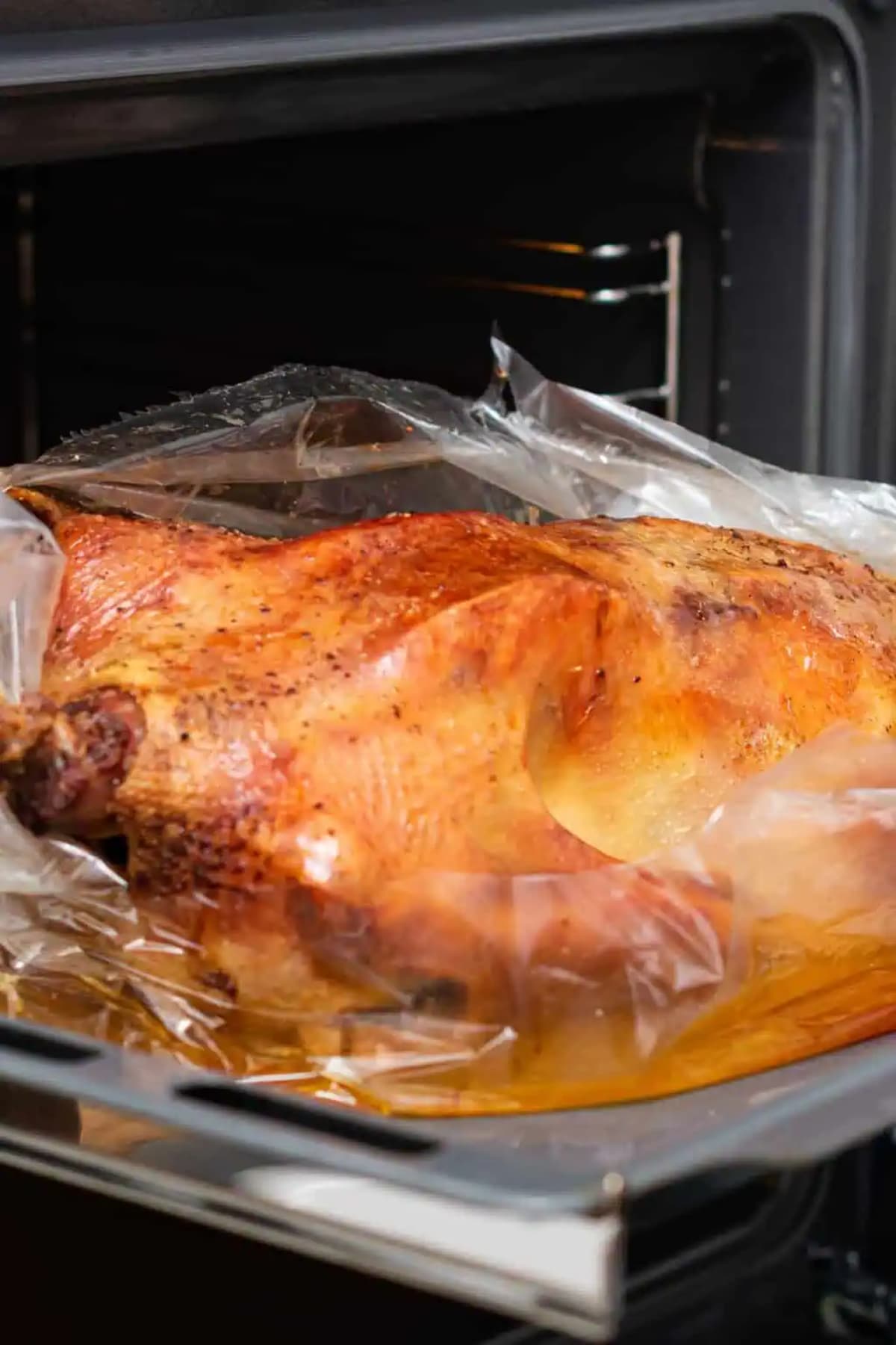 Turkey Cooked in an Oven Bag