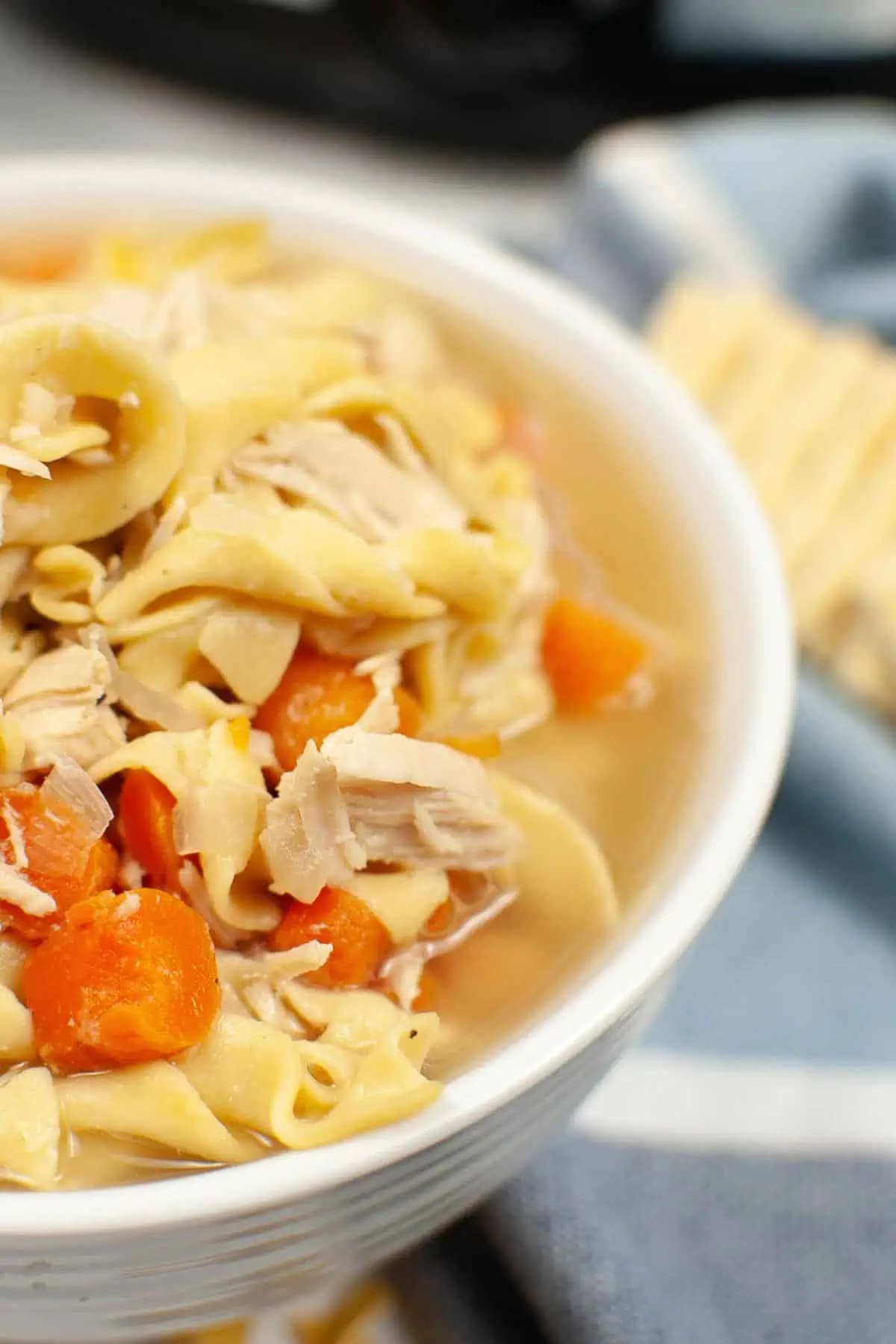 Slow Cooker Turkey Noodle Soup