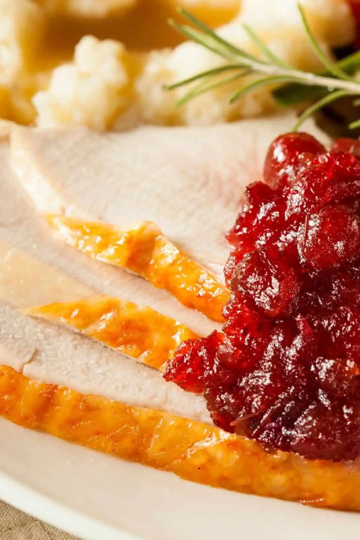 Crock Pot Turkey Breast and Stuffing