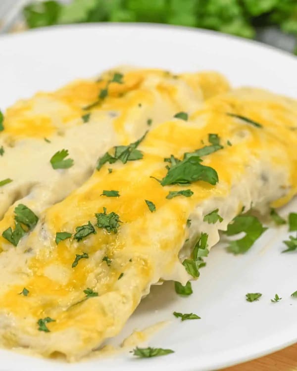 Sour Cream Chicken Enchiladas cover