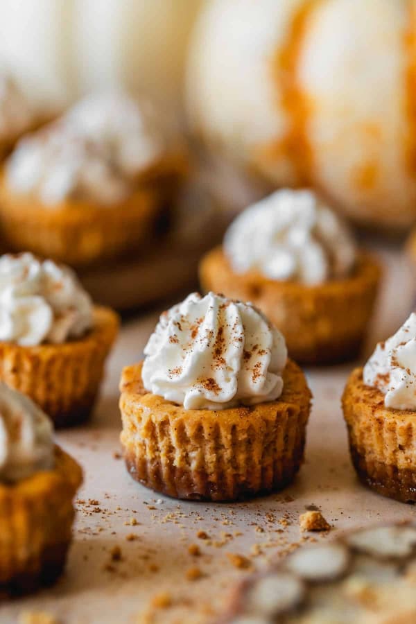 Little Pumpkin Spice Cheesecake Bites cover