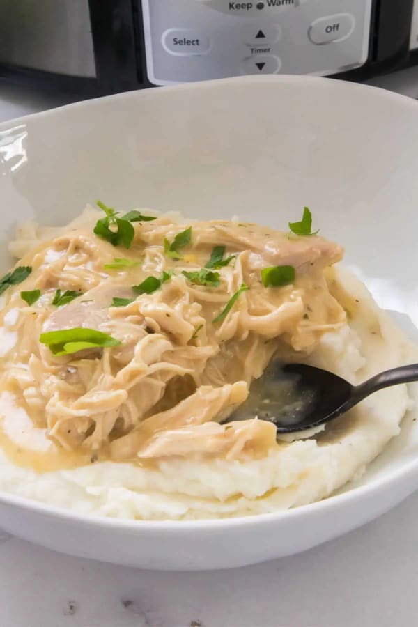 Slow Cooker Chicken and Gravy cover