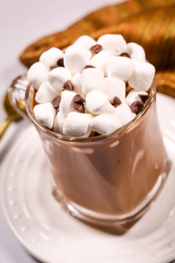 Crock Pot Hot Cocoa cover