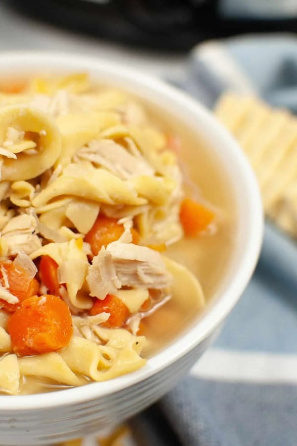 Slow Cooker Turkey Noodle Soup cover
