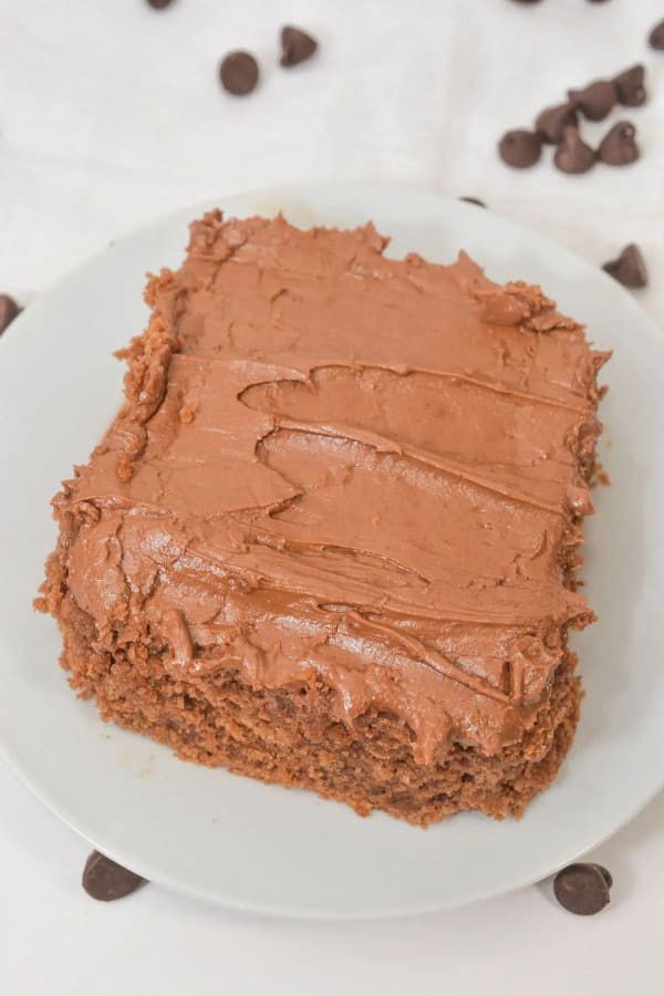 Cocoa Mayonnaise Cake cover