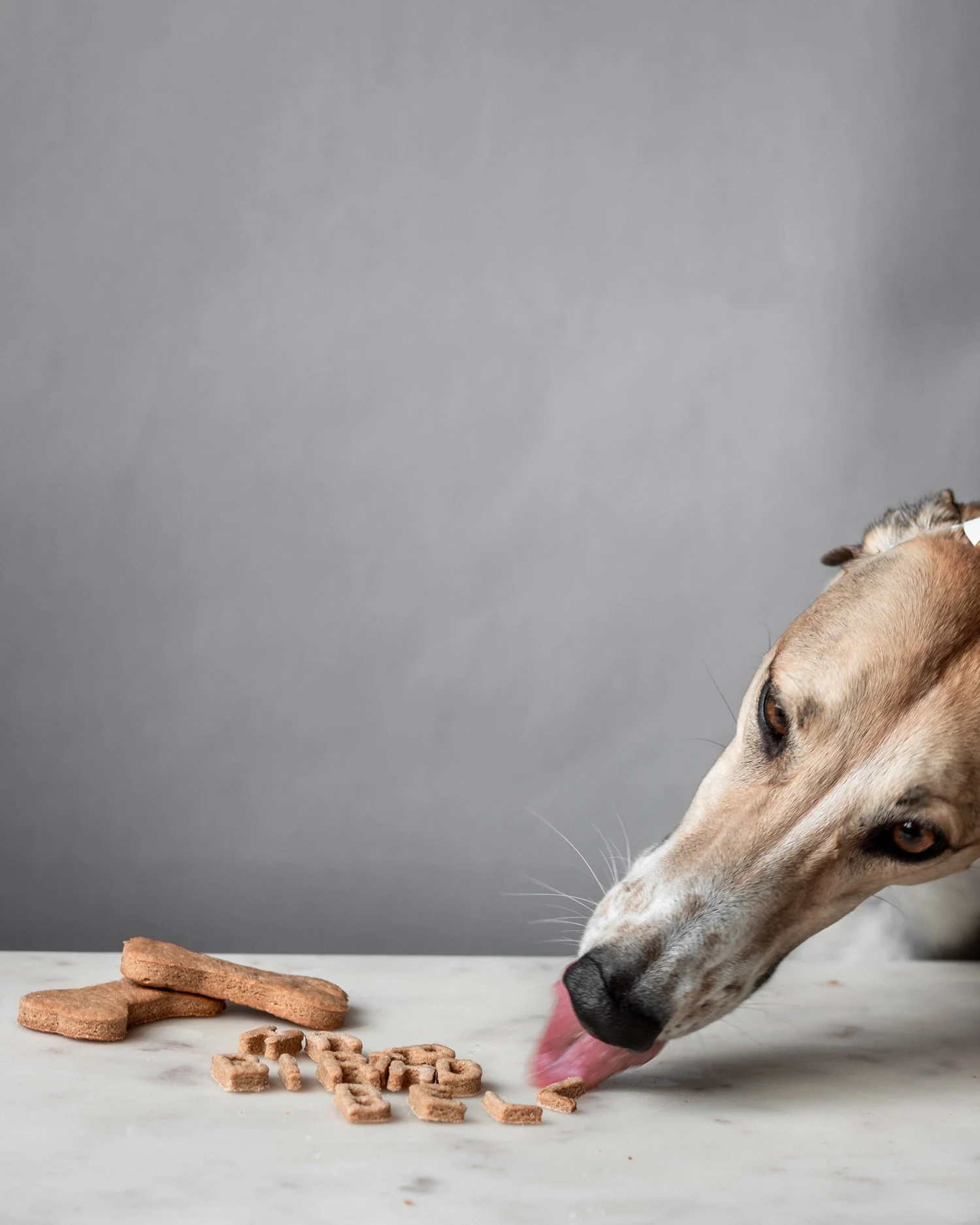 Homemade Peanut Butter Dog Cookies