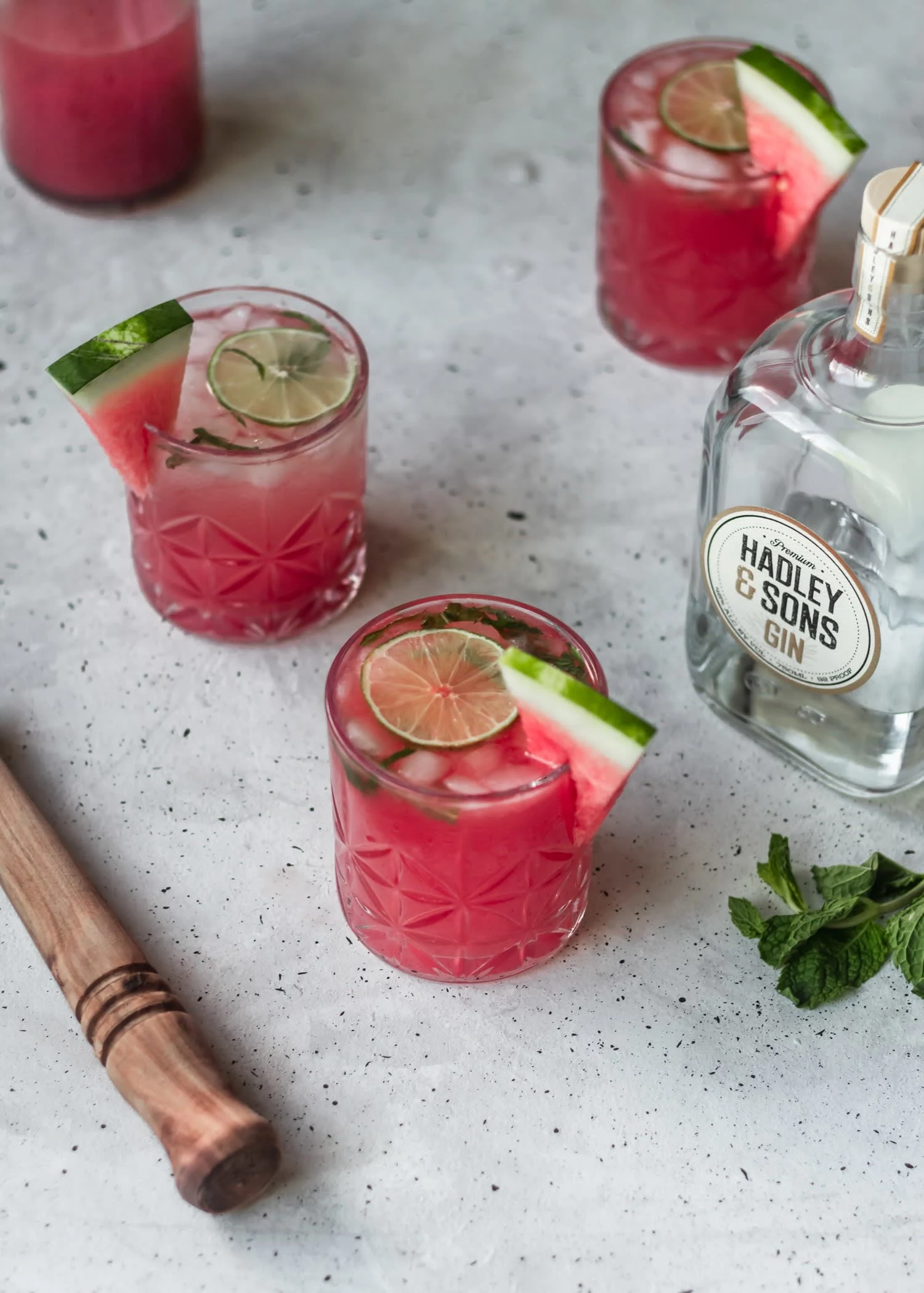 Watermelon Gin Fizz With Mint