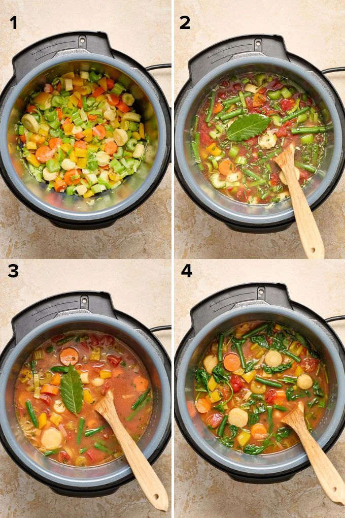 Instant Pot Vegetable Soup