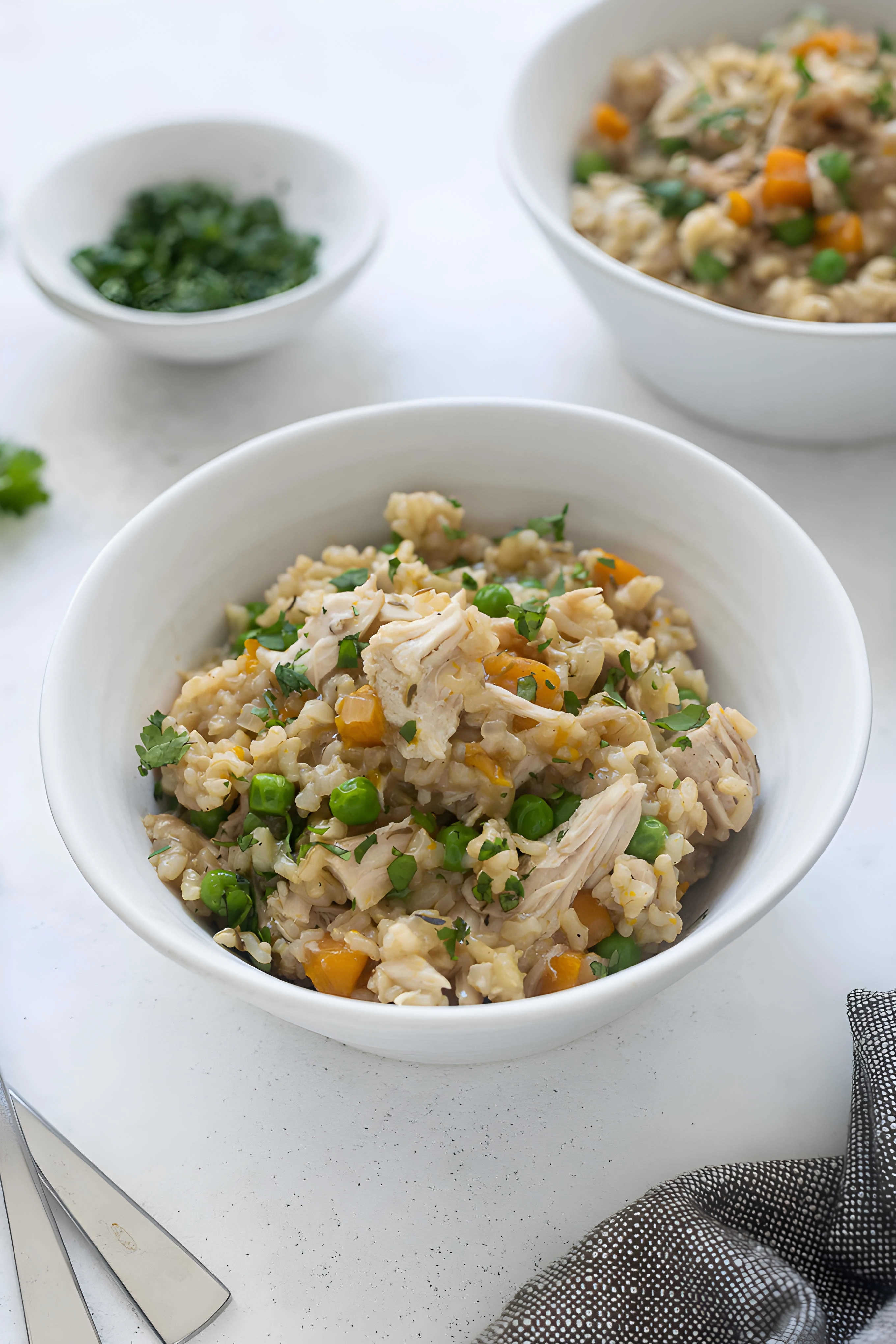 Instant Pot Chicken and Rice