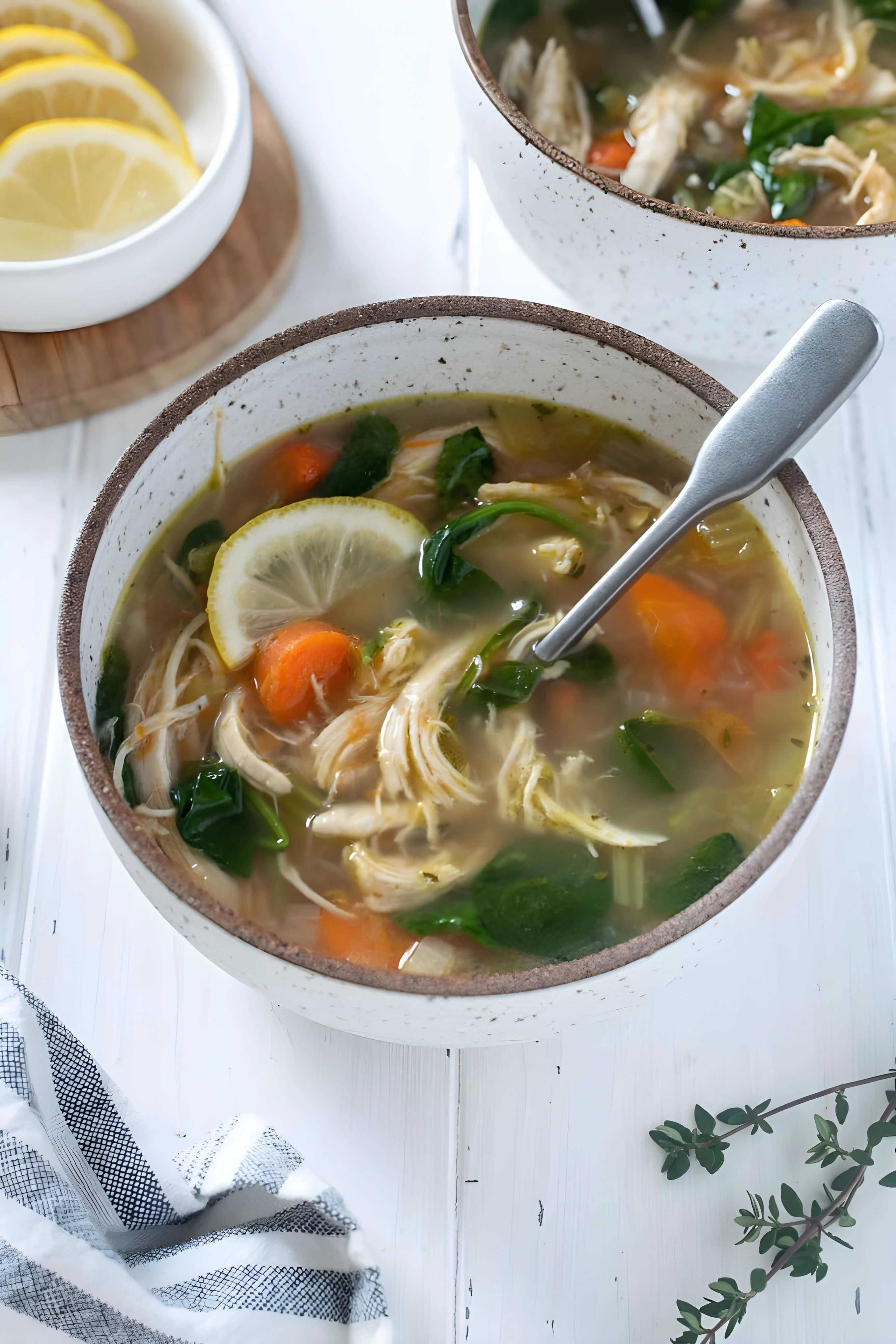 Lemon Chicken Vegetable Soup