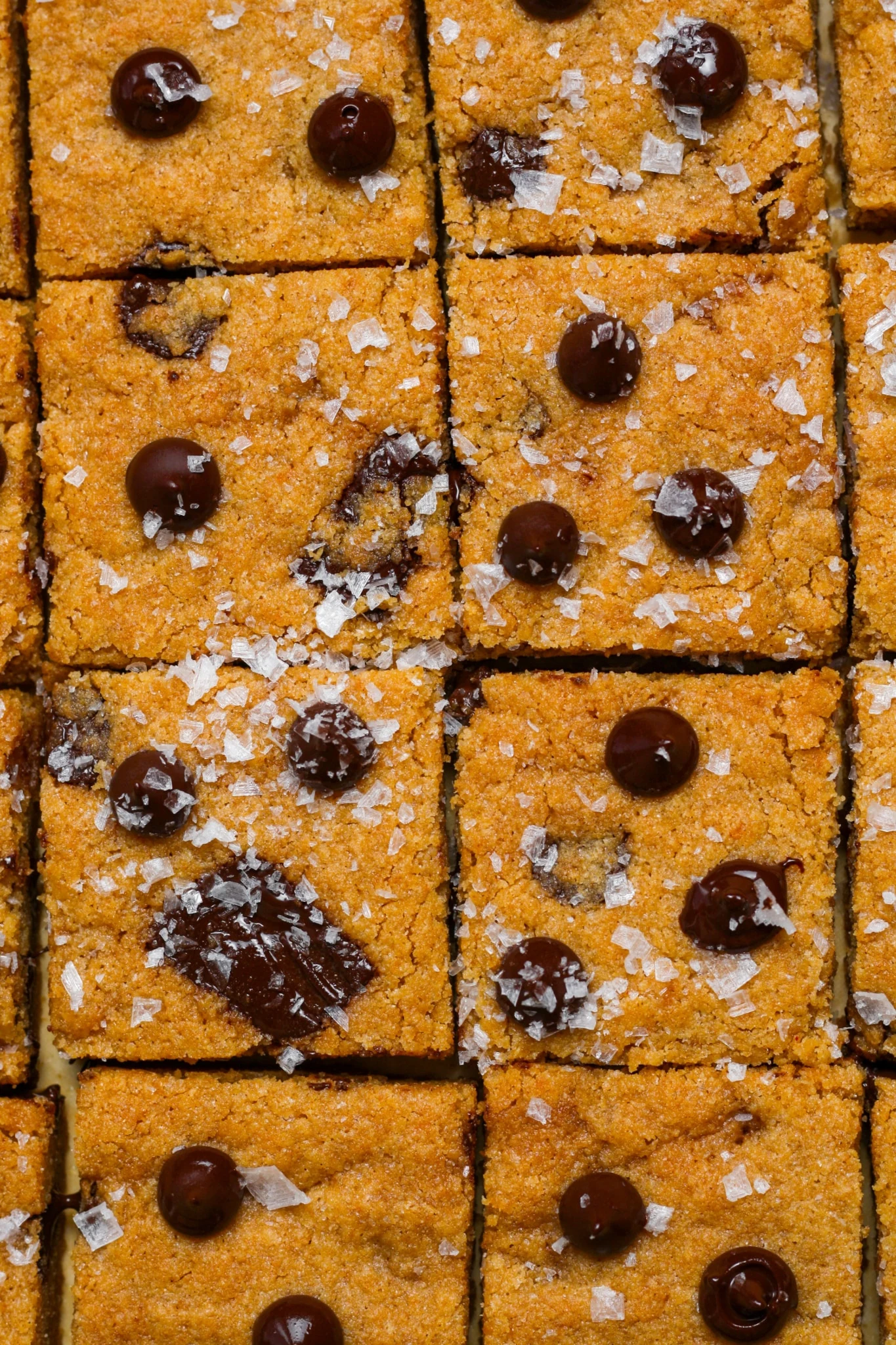 Brown Butter Chocolate Chip Cookie Bars