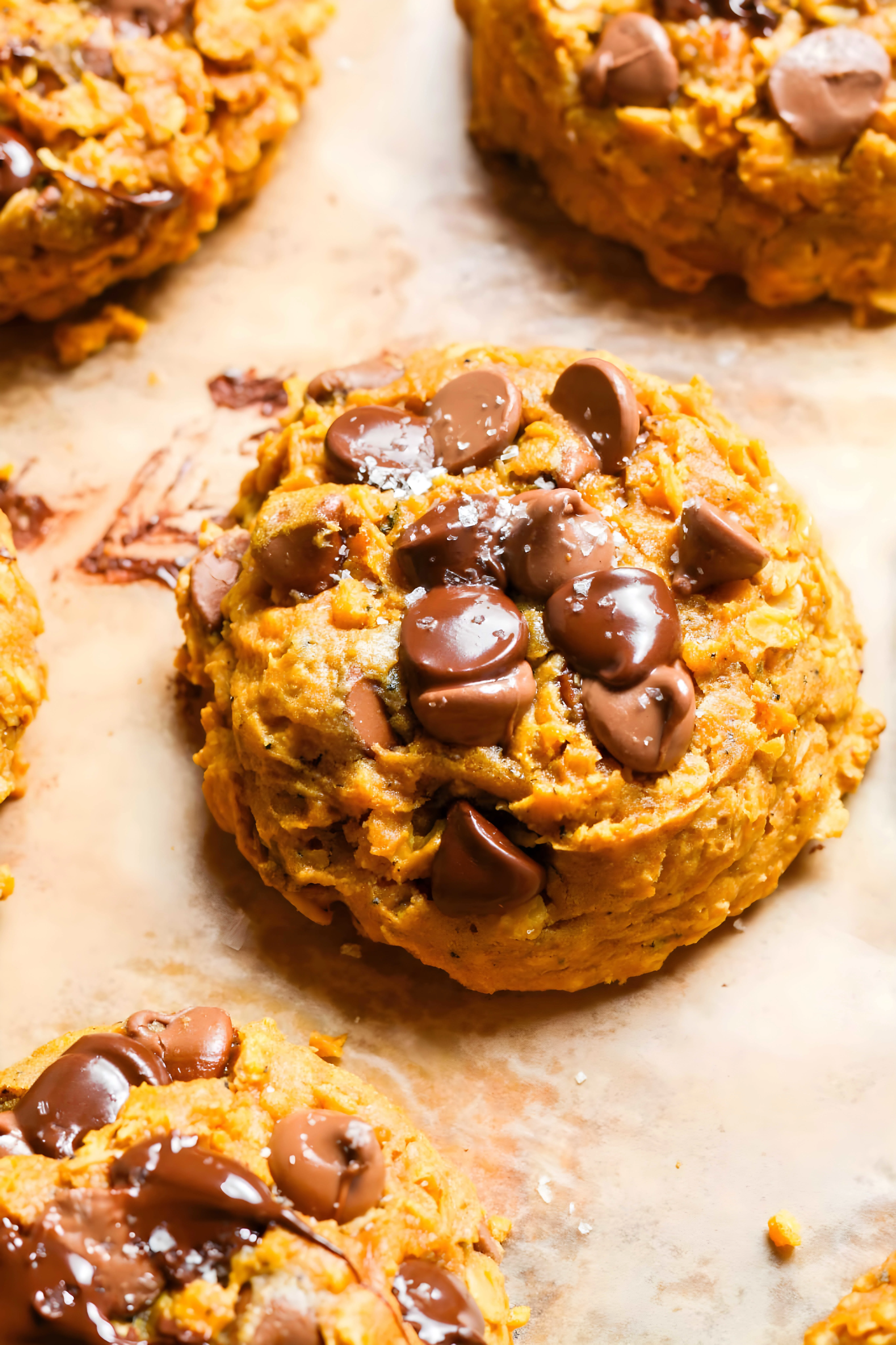 Pumpkin Oatmeal Chocolate Chip Cookies