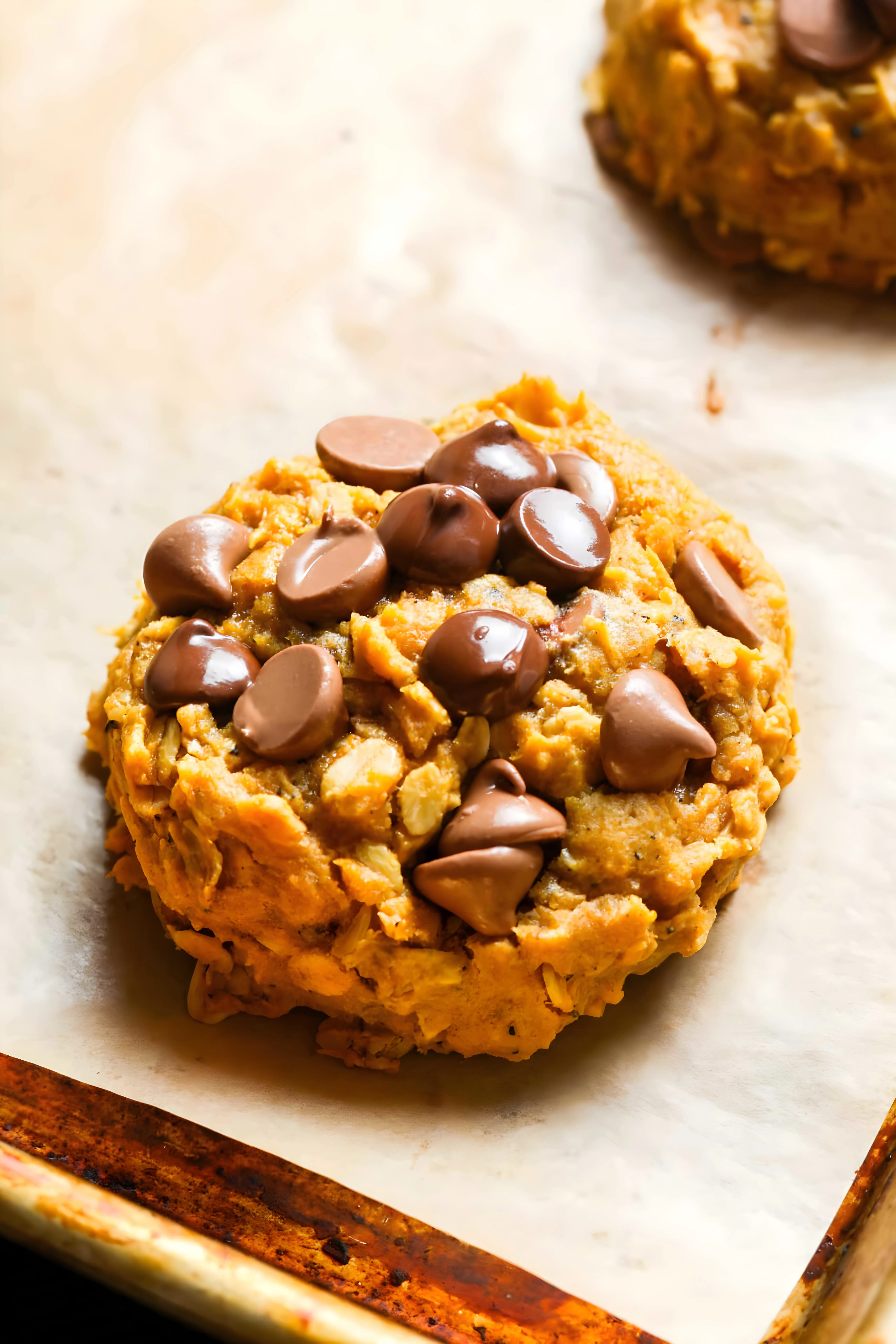 Pumpkin Oatmeal Chocolate Chip Cookies
