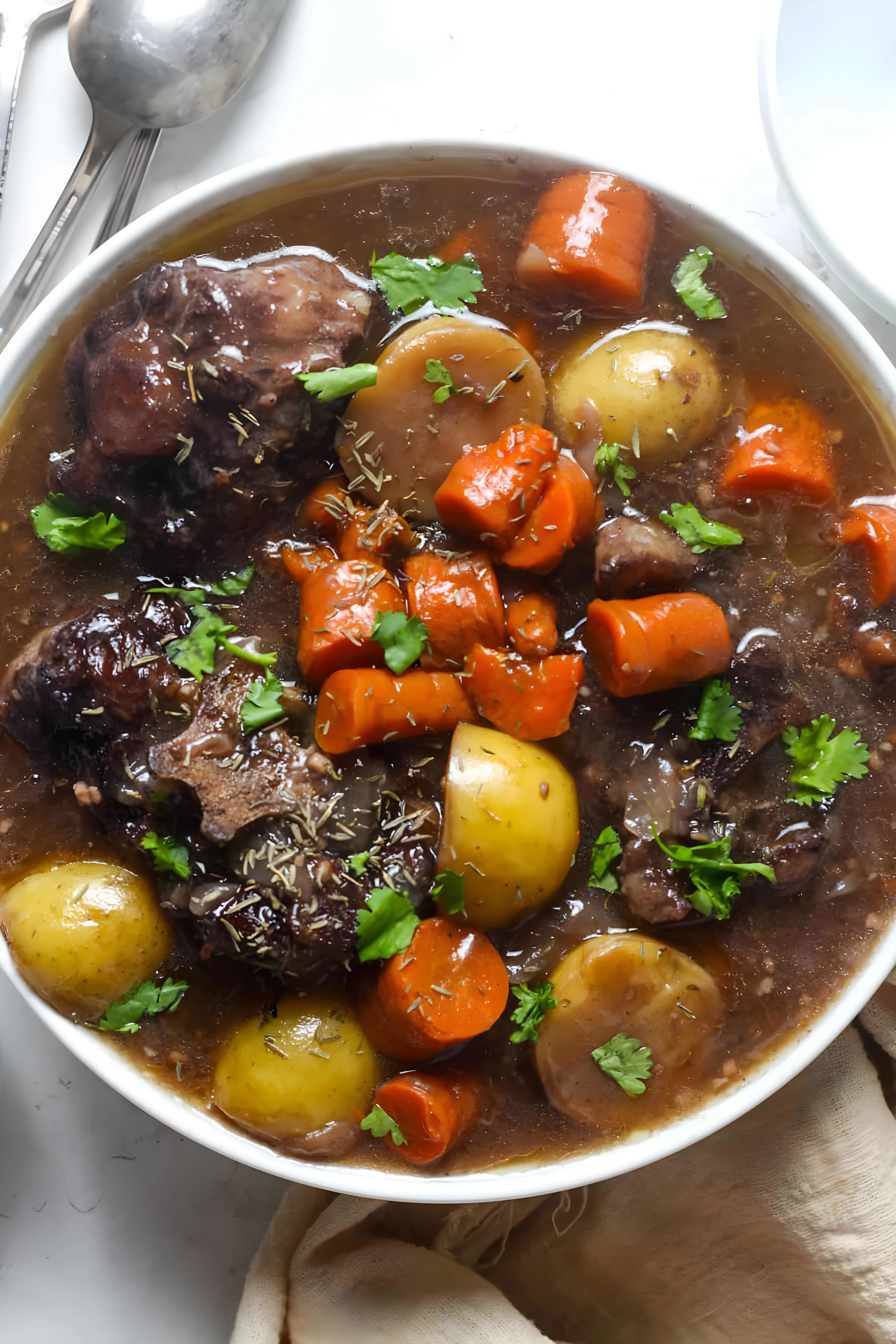 Oxtail Stew Recipe