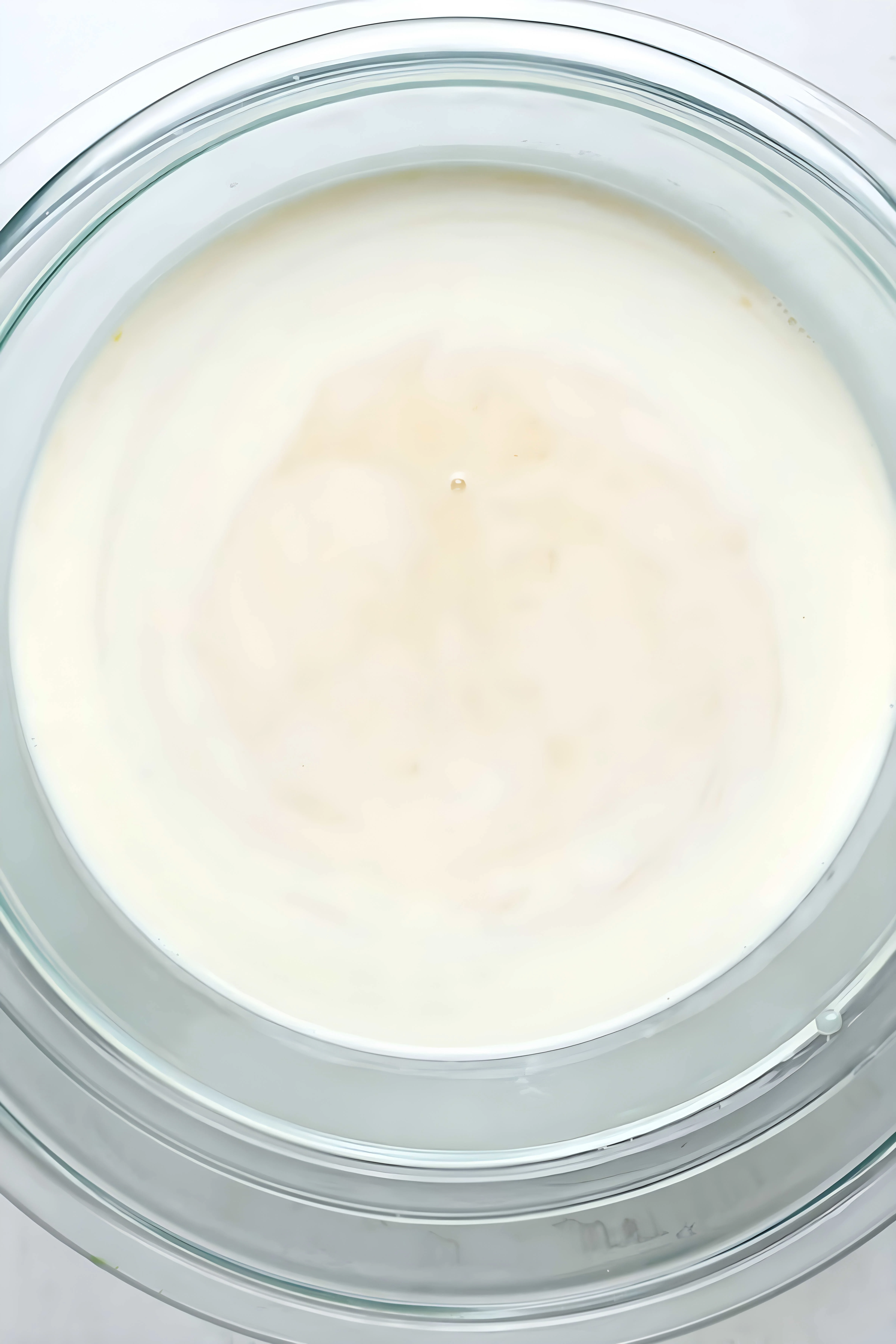 Butter Pecan Ice Cream