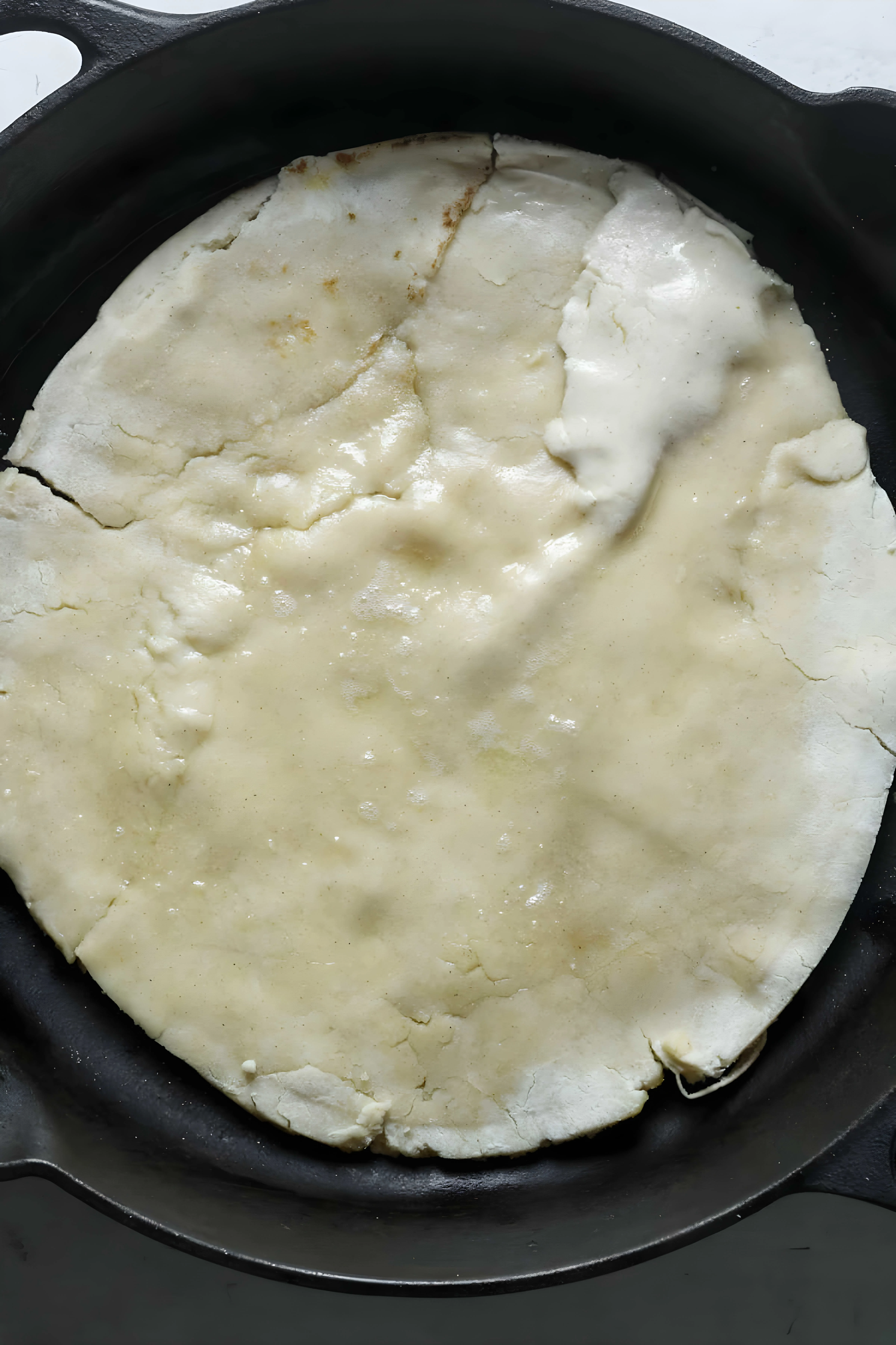 Sourdough Pizza Crust