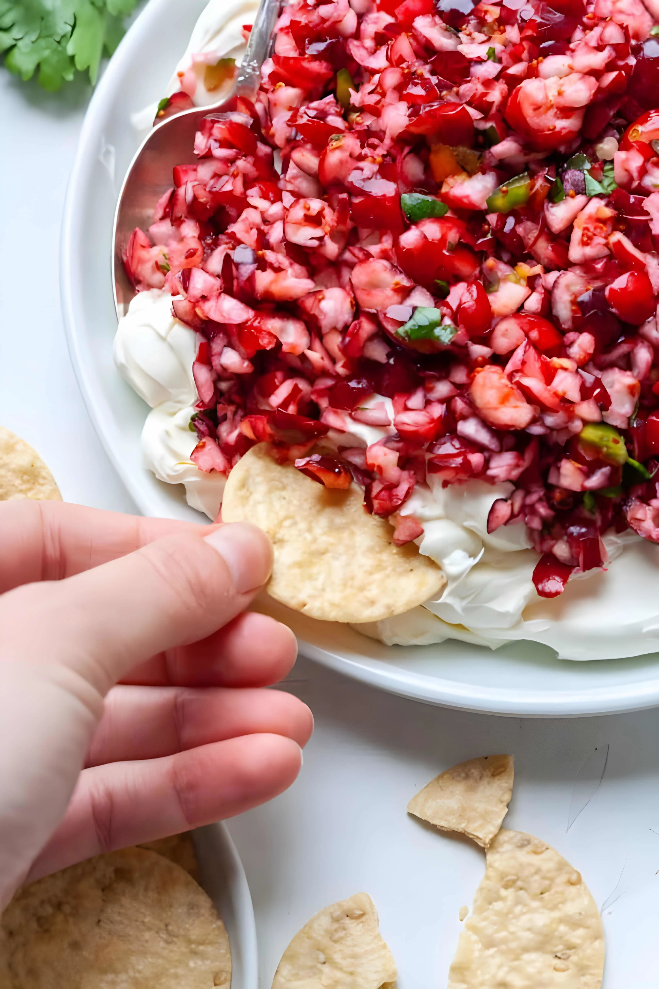 Cranberry Jalapeno Dip