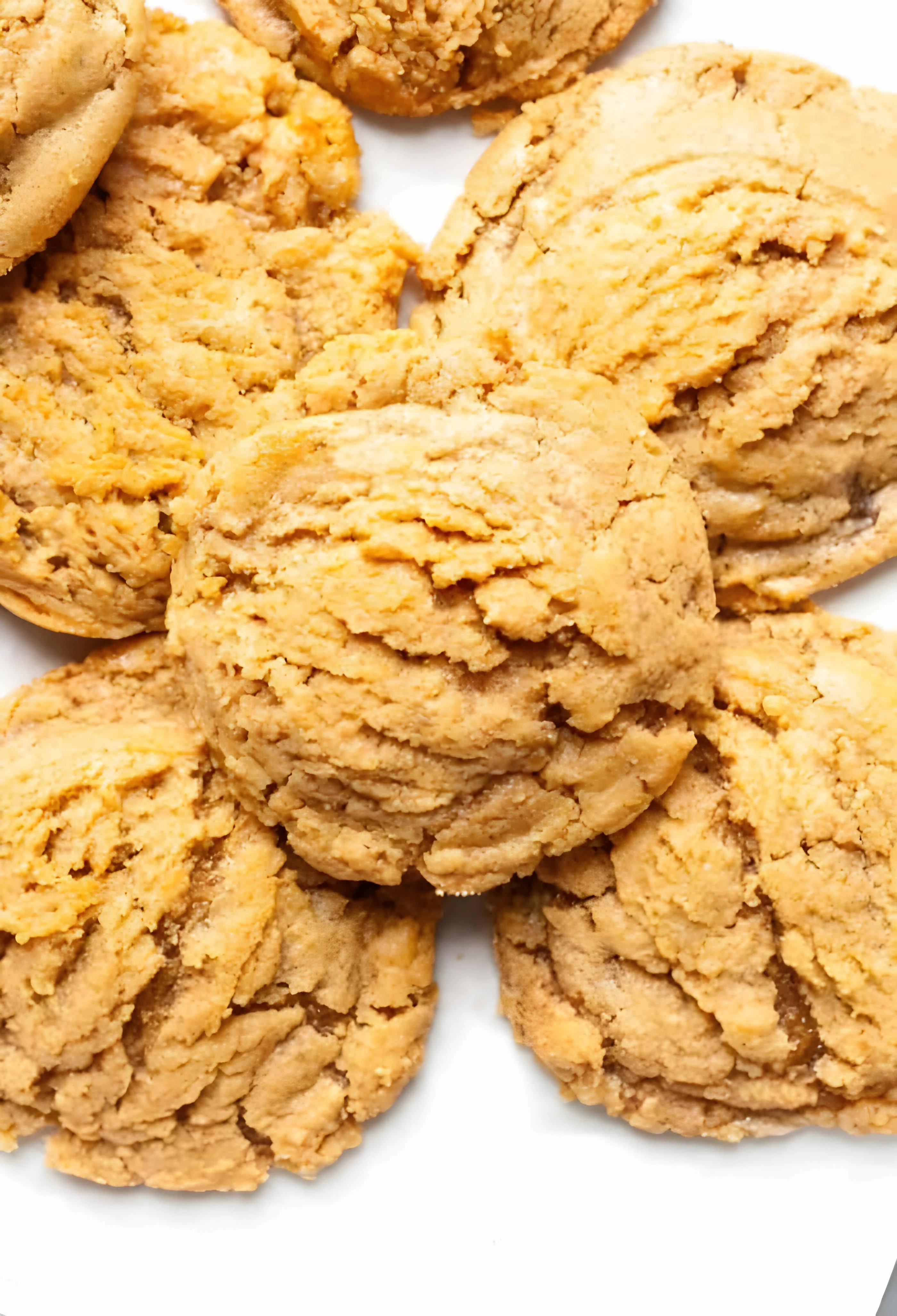 Cashew Butter Cookies