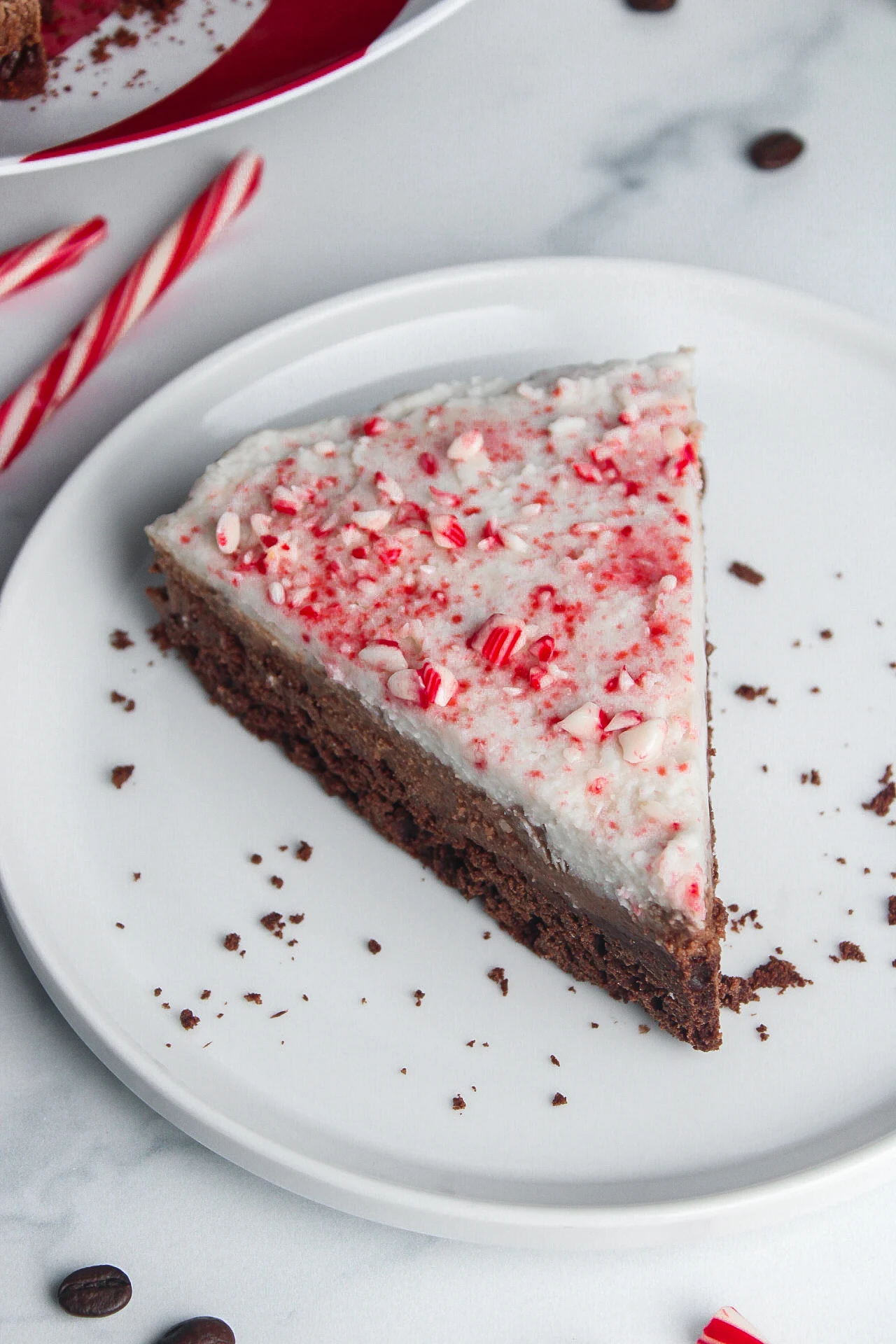 Vegan Peppermint Mocha Mousse Cake
