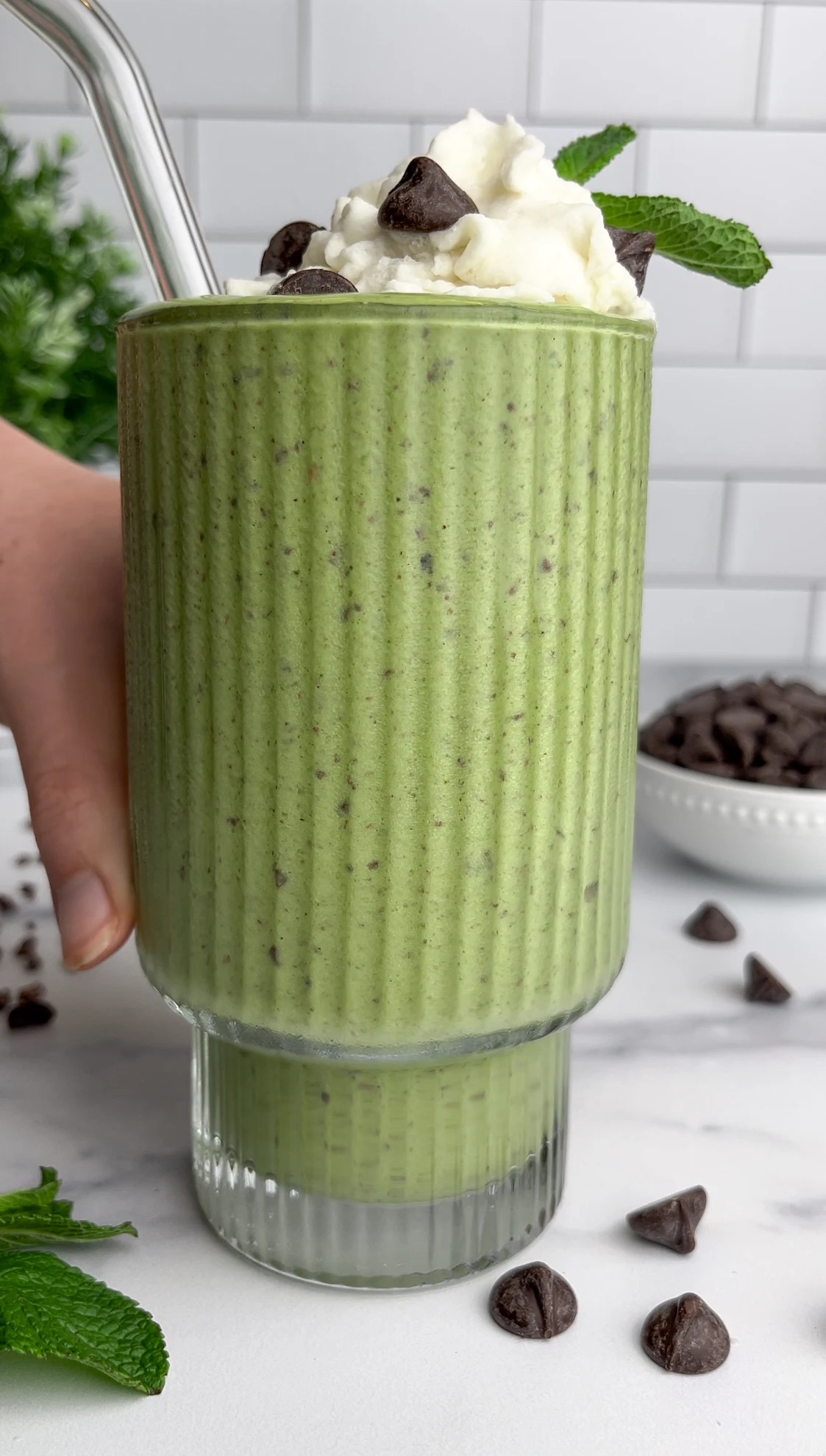Mint Chocolate Chip Smoothie