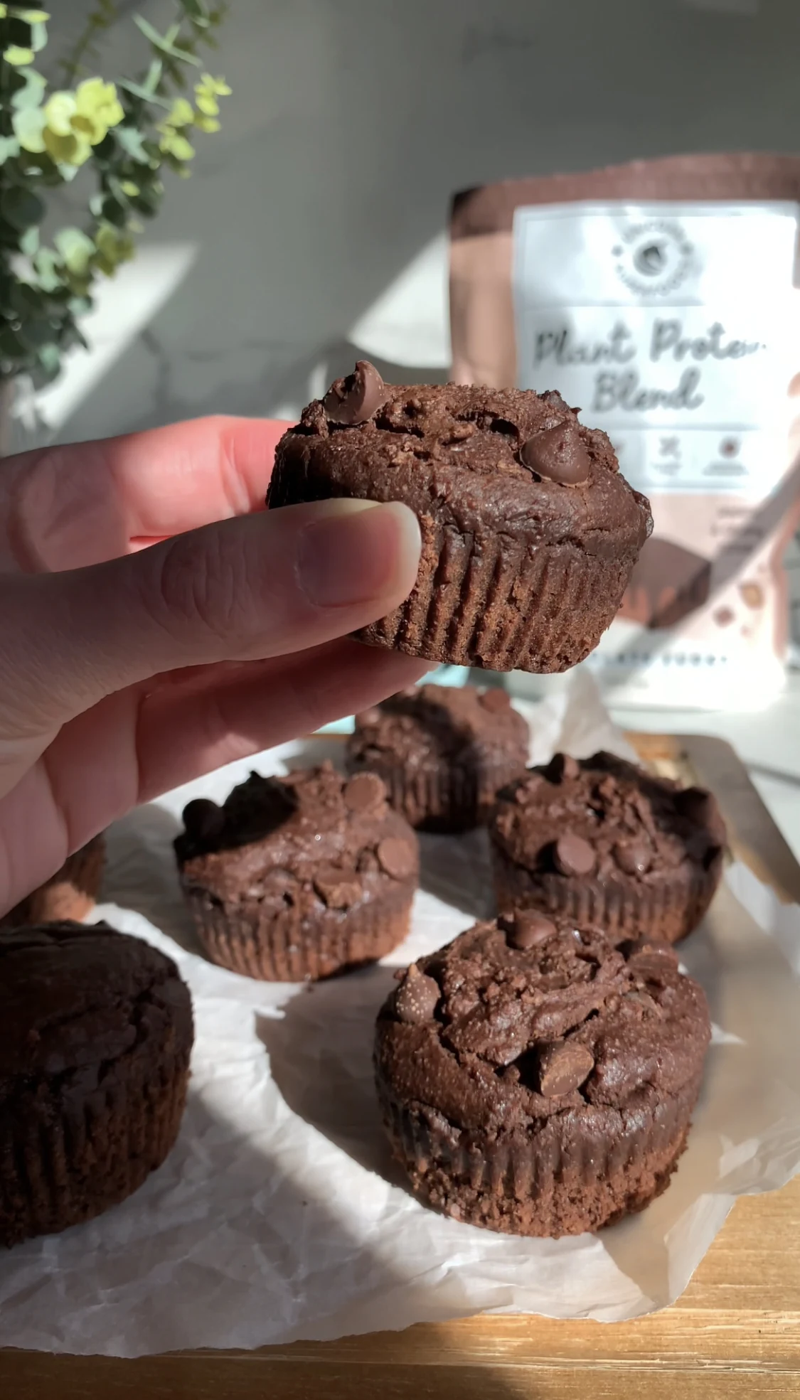 Chocolate Protein Muffins (Vegan, Gluten Free)