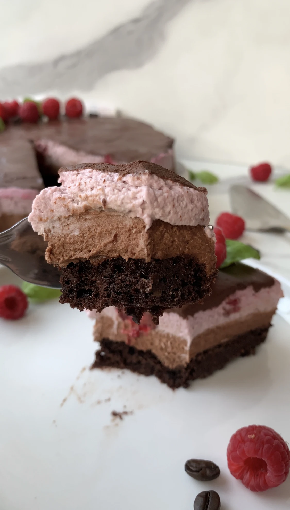 Raspberry Mocha Mousse Cake