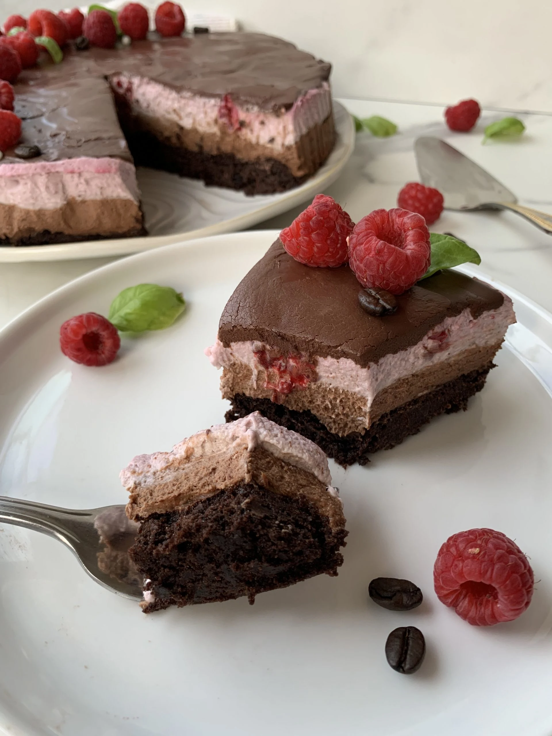Raspberry Mocha Mousse Cake