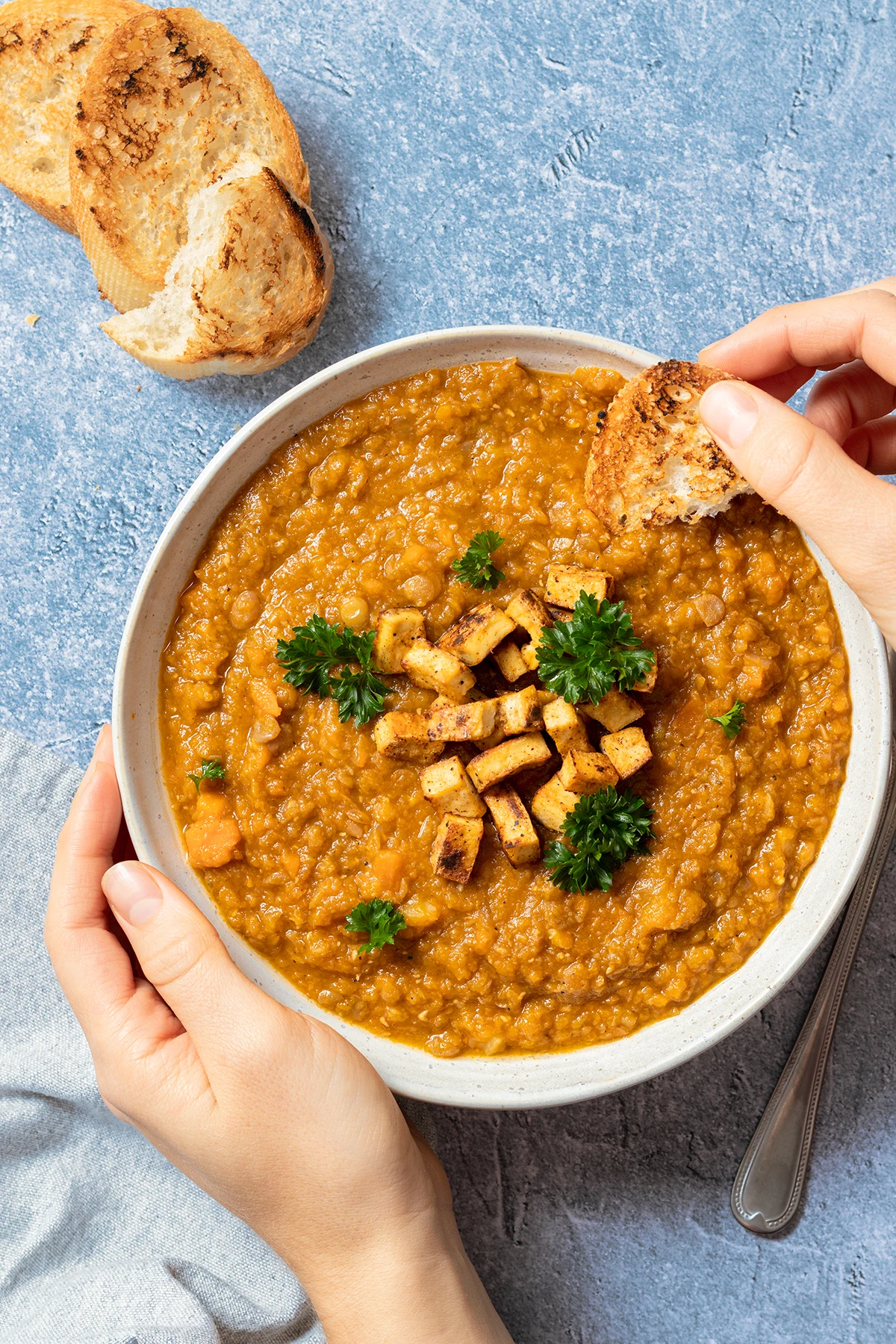 Vegetarian Lentil Stew