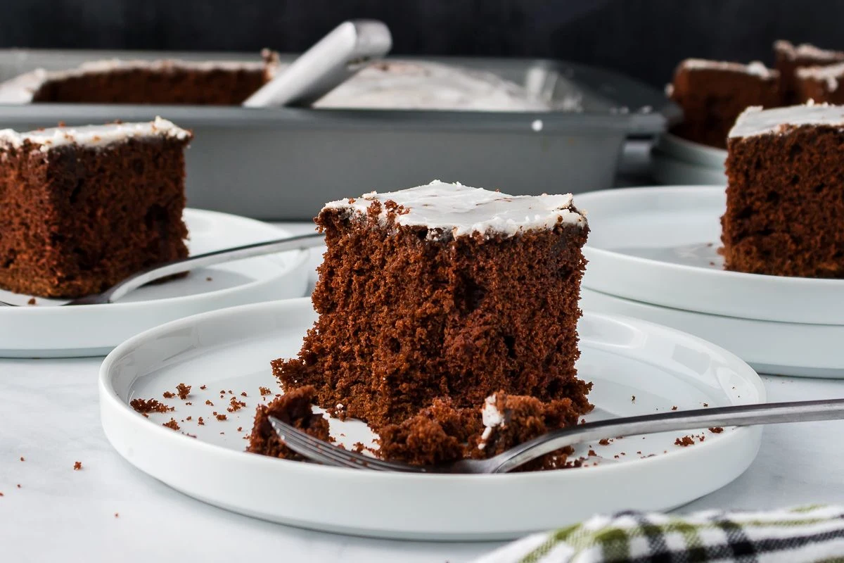Devil’s Food Cake