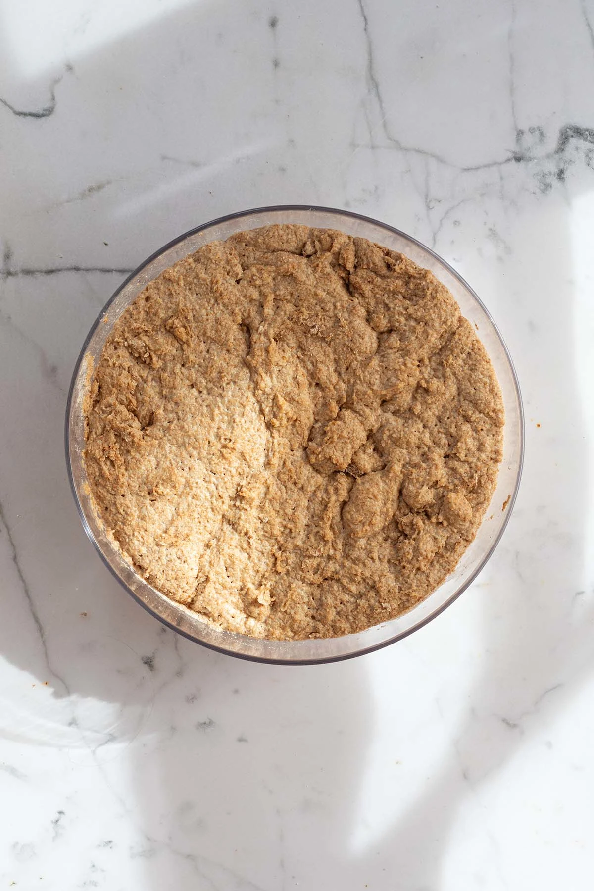 Wholemeal Bread Without Grains