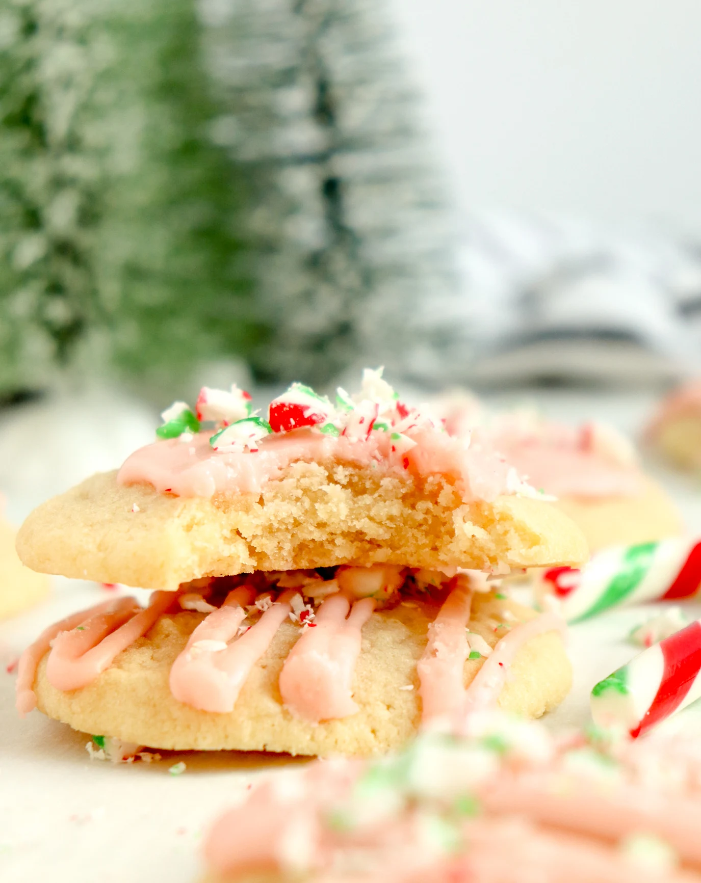 Soft Peppermint Sugar Cookies