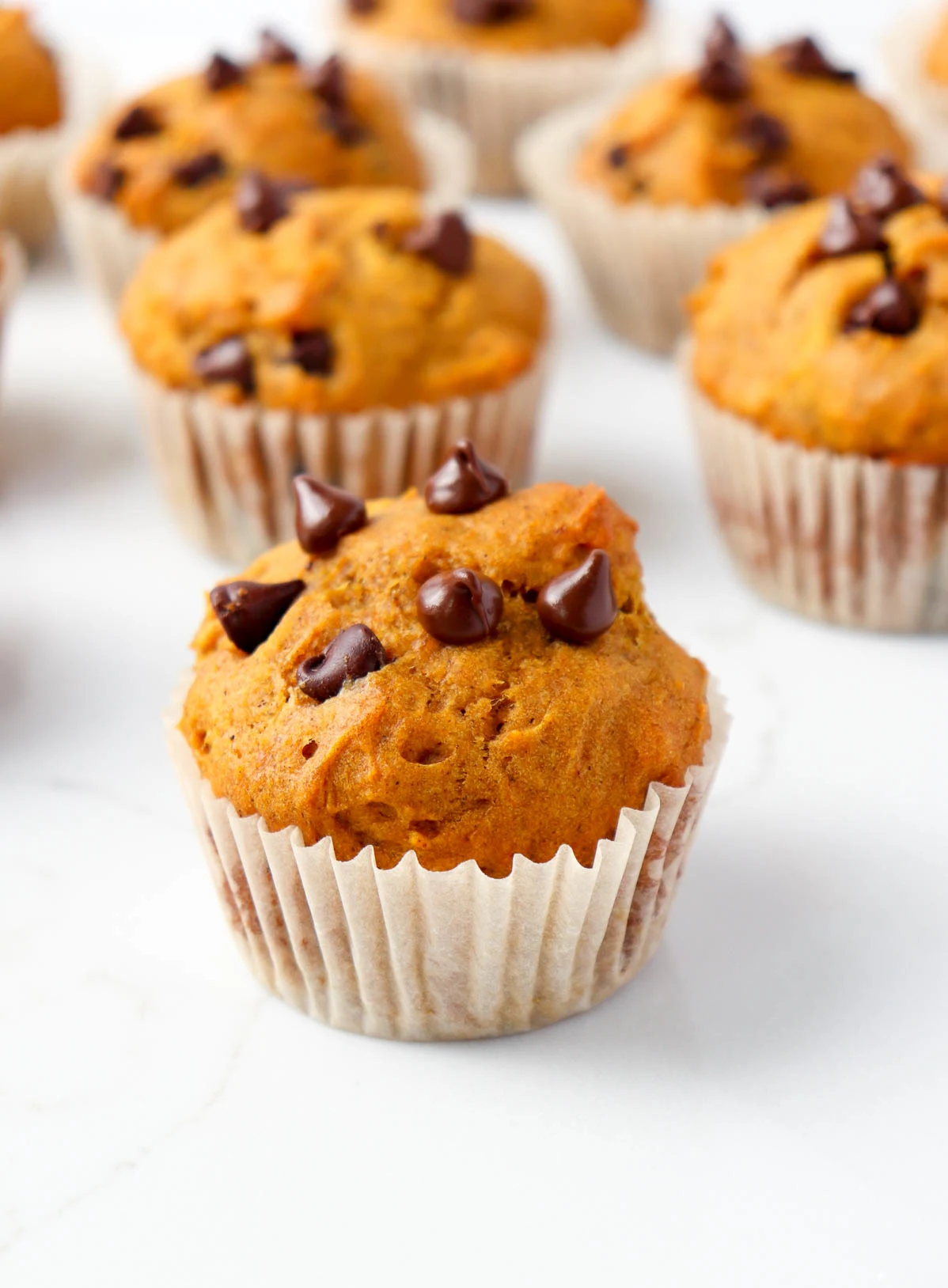 Easy Chocolate Chip Pumpkin Muffins