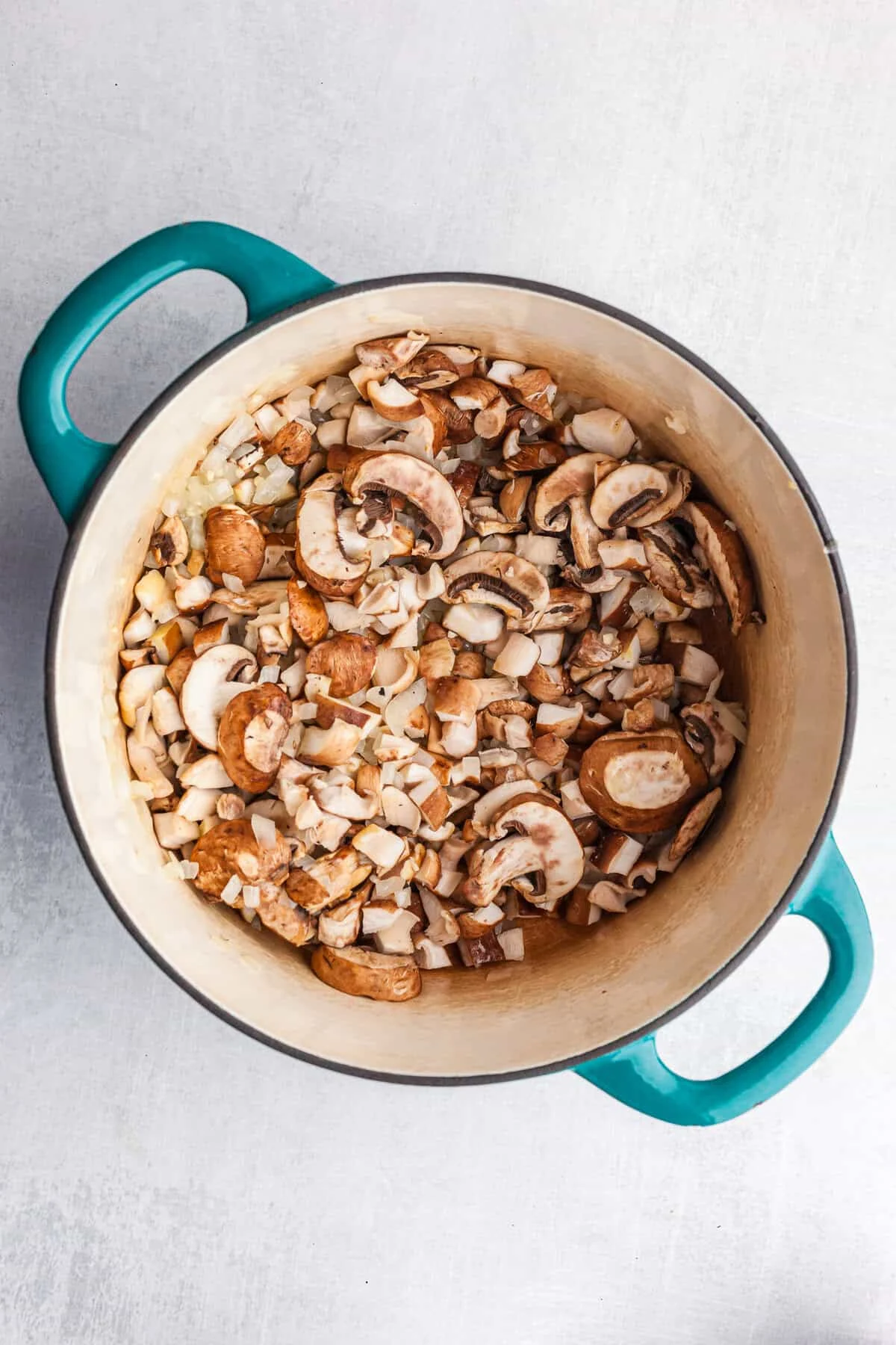 Dairy-Free Cream of Mushroom Soup Recipe