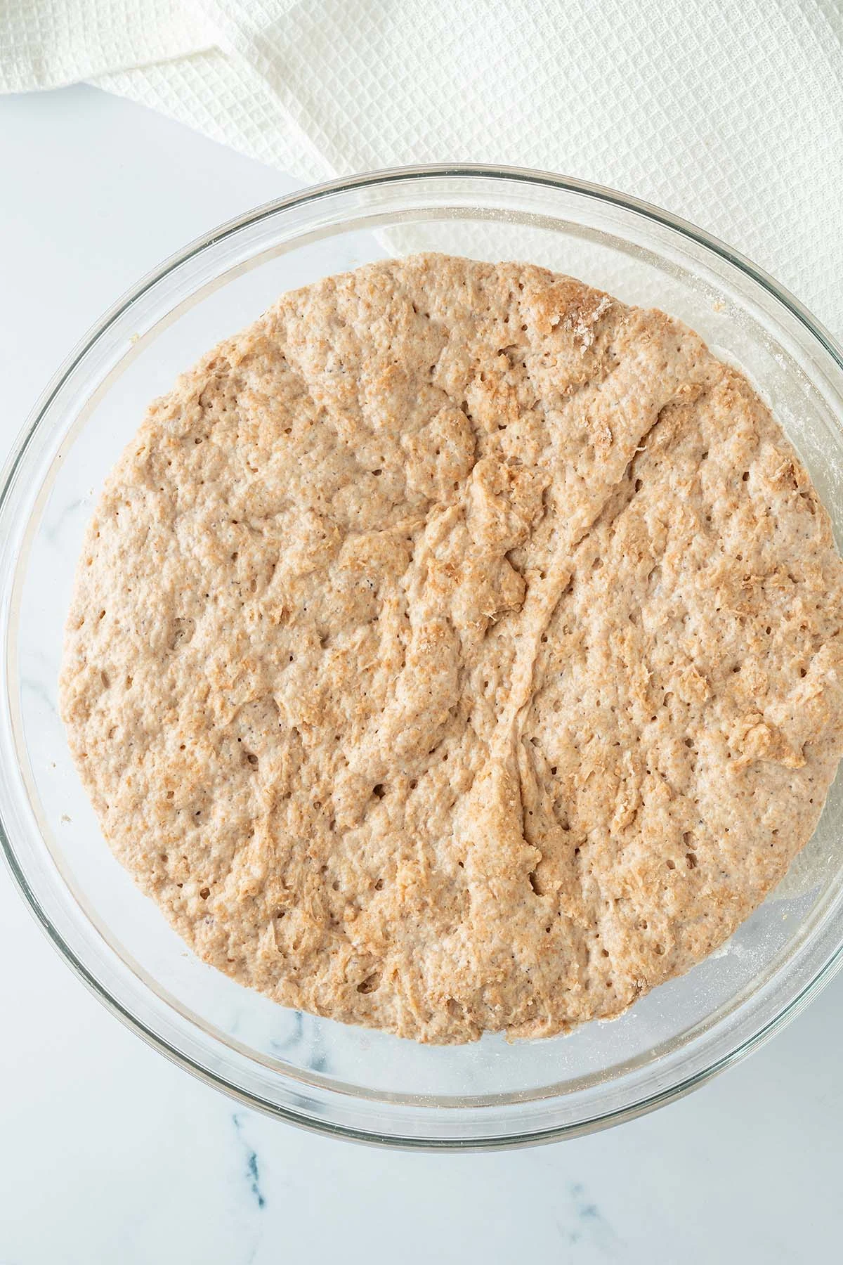 Whole-Grain Spelt Rolls