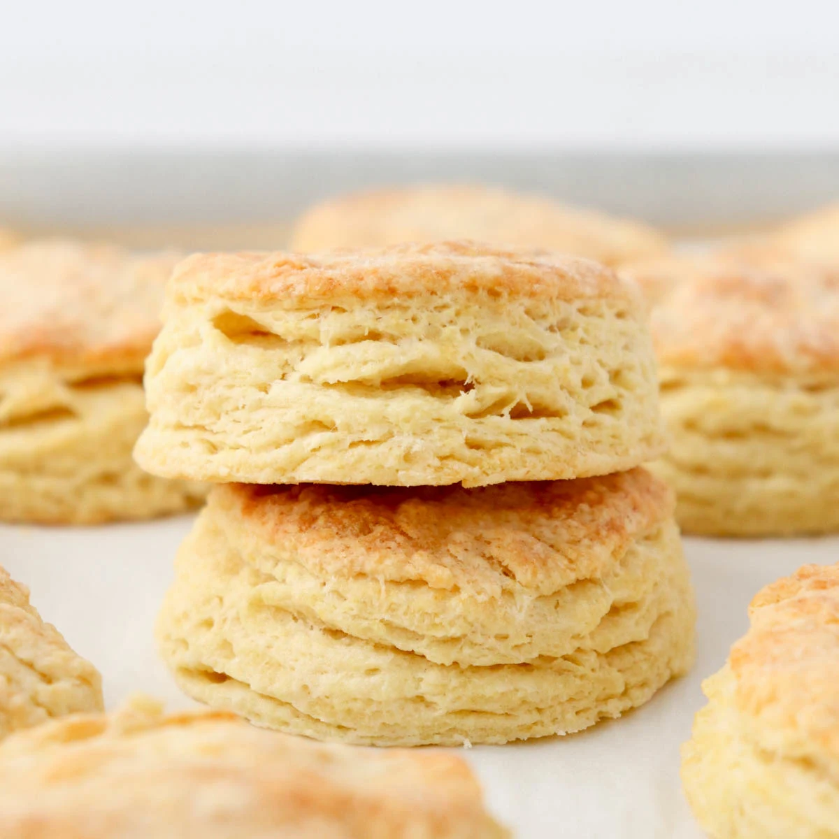 Flakey Buttermilk Biscuits