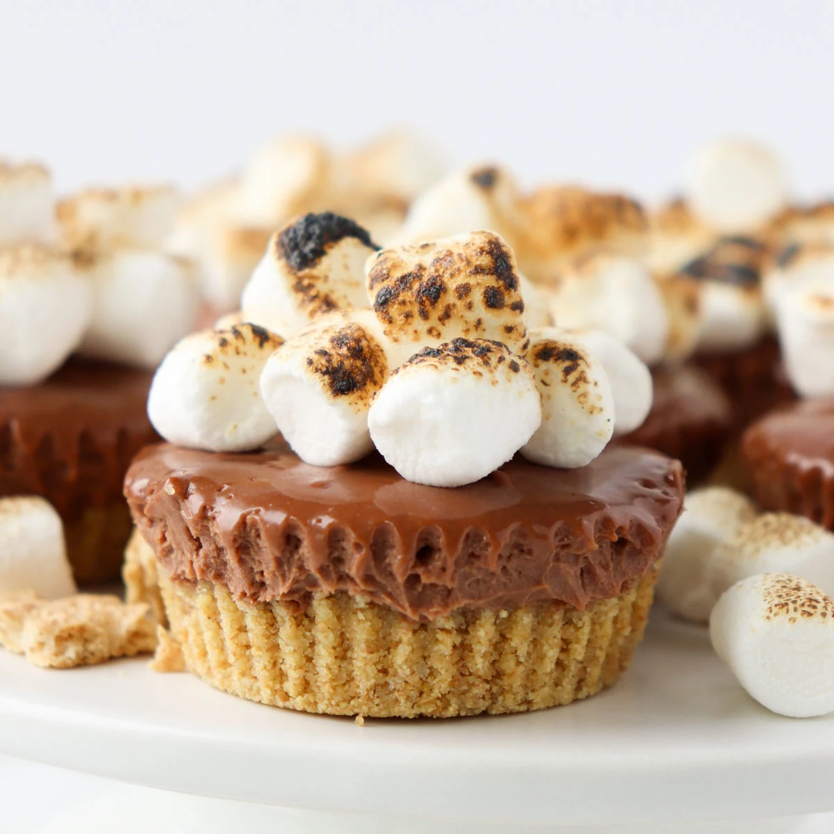 No-Bake Mini S'mores Cheesecakes
