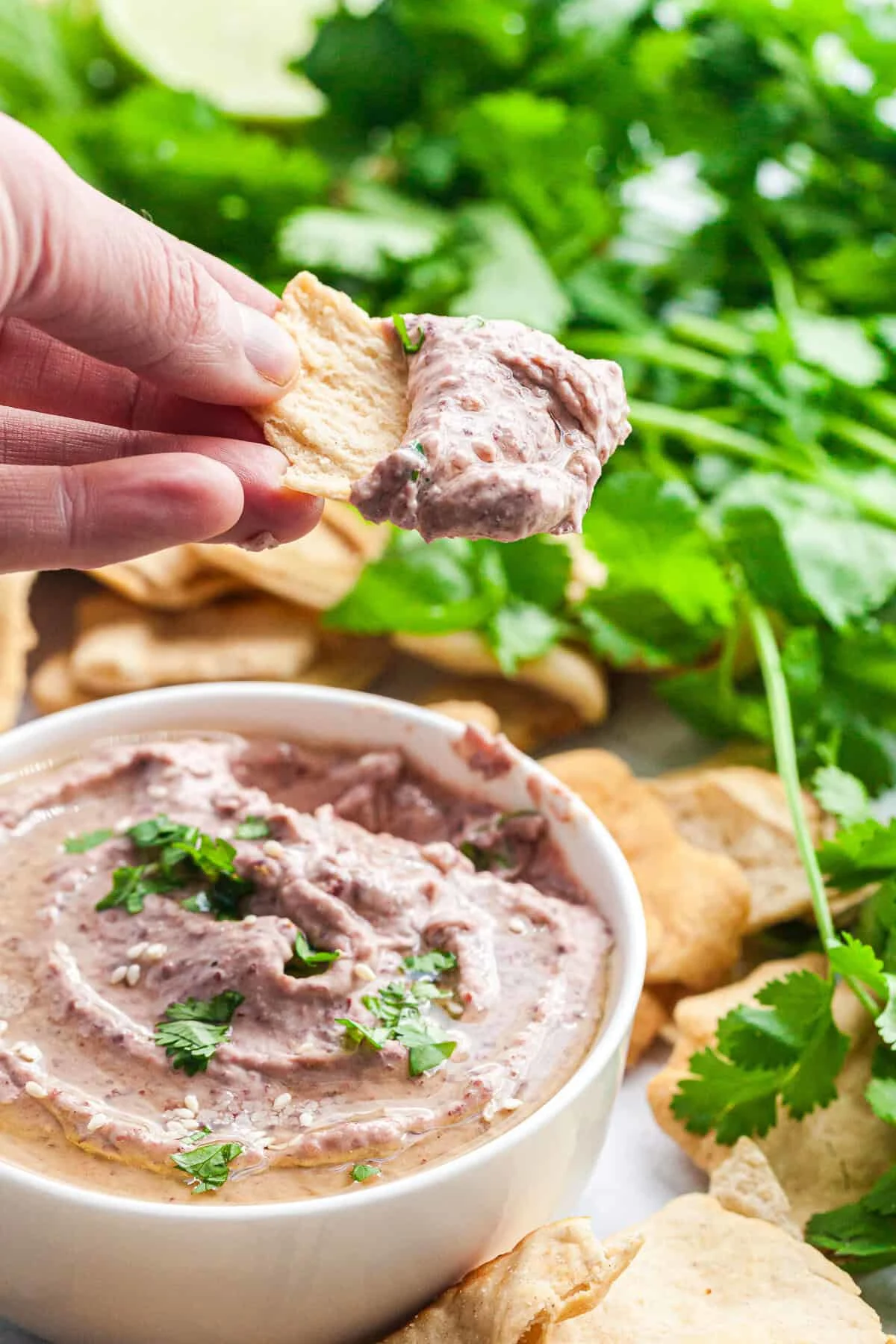 Kidney Bean Hummus
