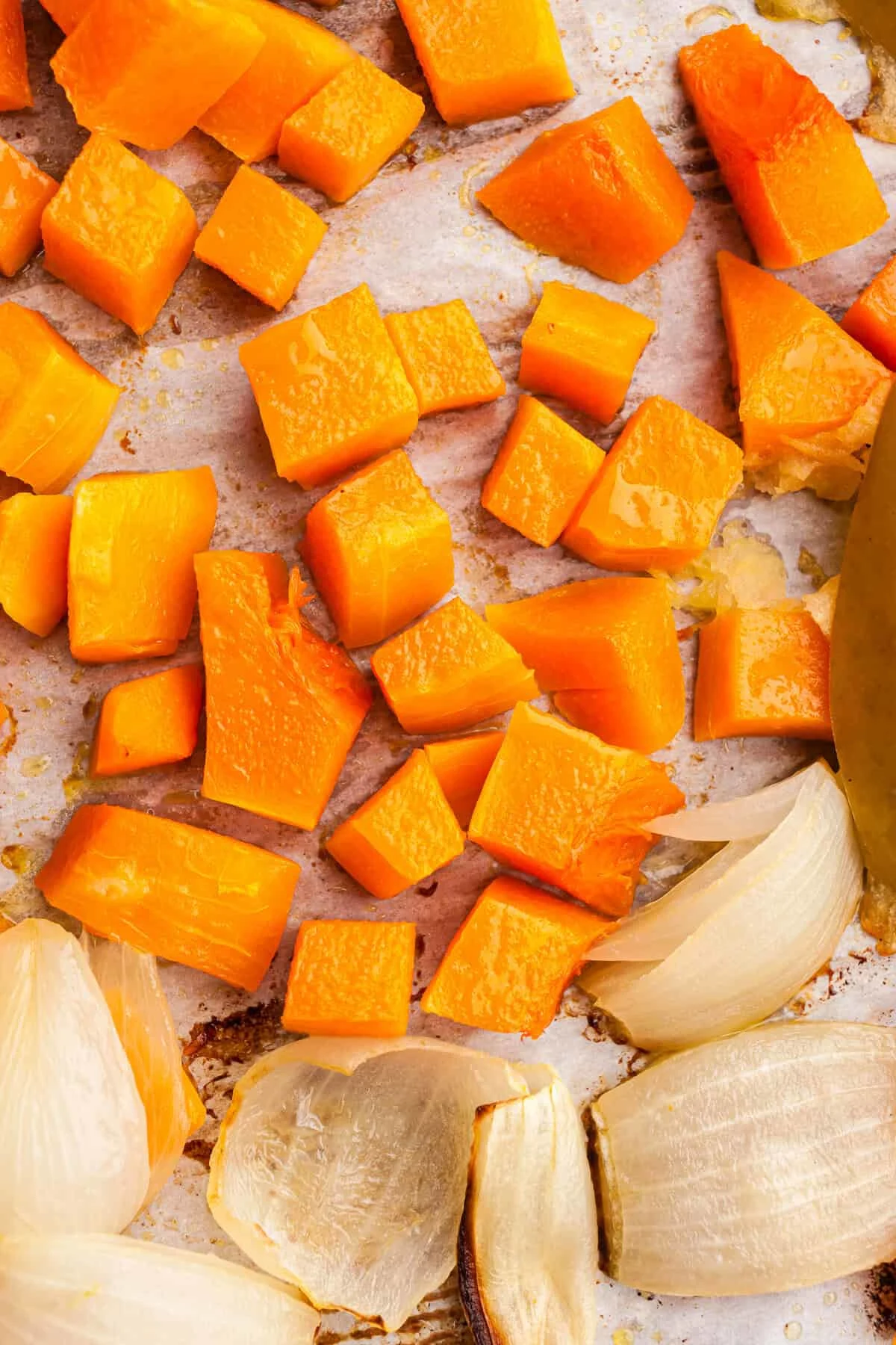 Butternut Squash White Bean Soup