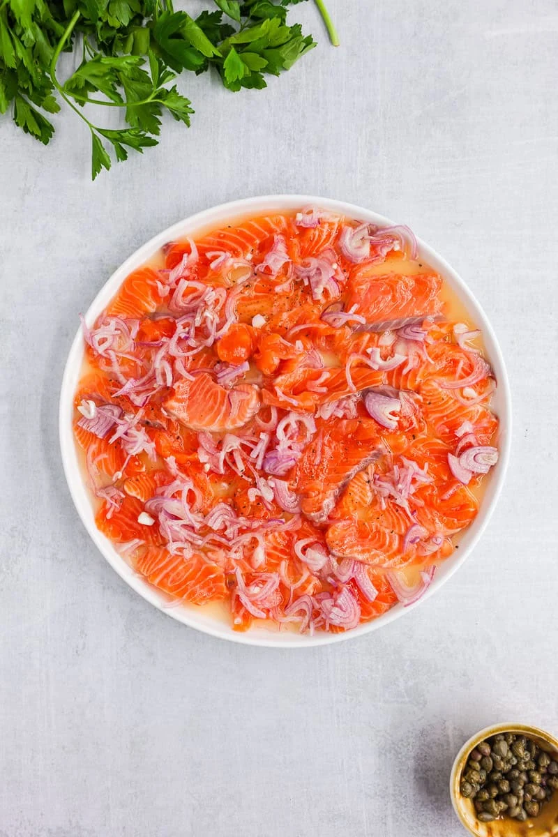 Salmon Crudo