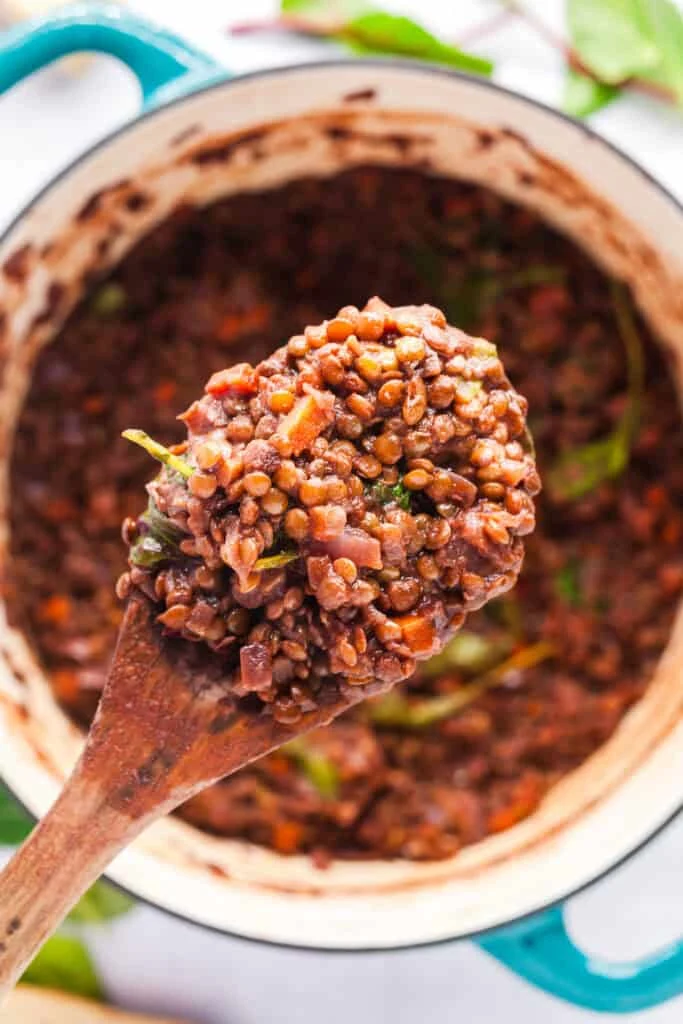 French Lentils Braised in Red Wine and Caramelized Onions