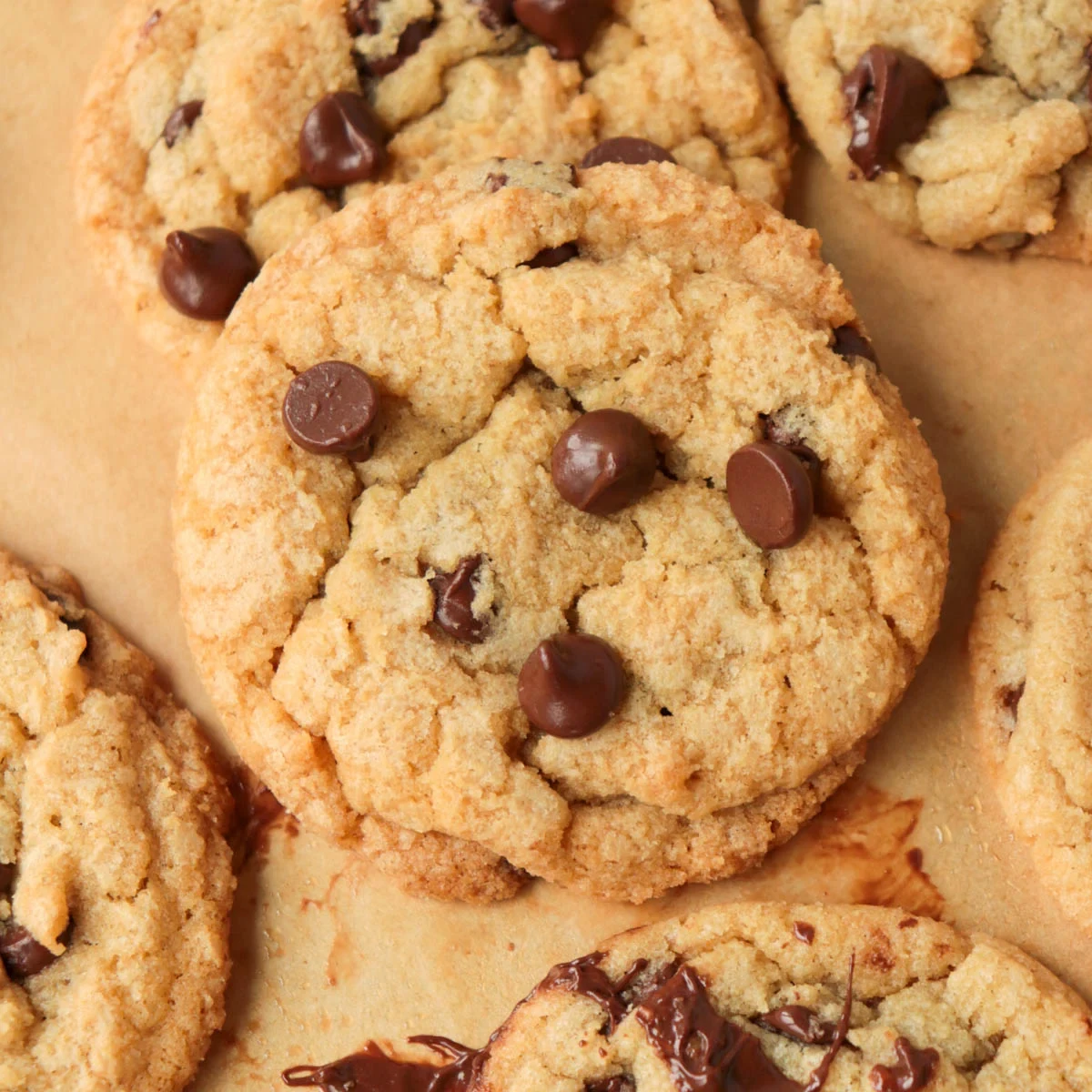 Classic Chocolate Chip Cookies