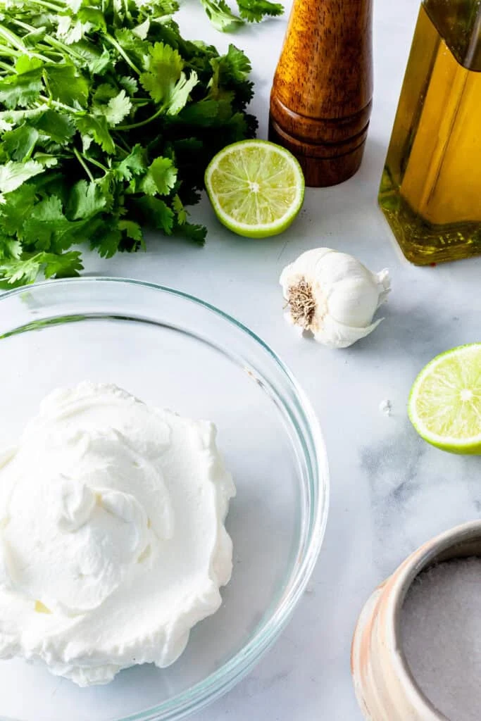 Cilantro Garlic Sauce