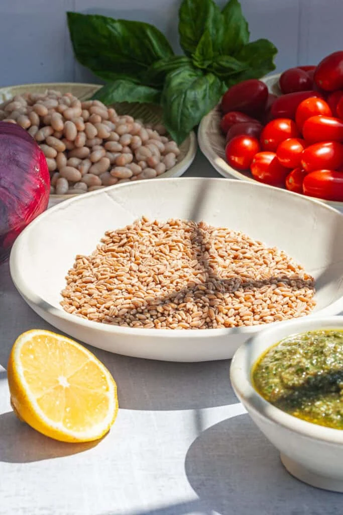 Farro with Blister Tomato and Pesto 
