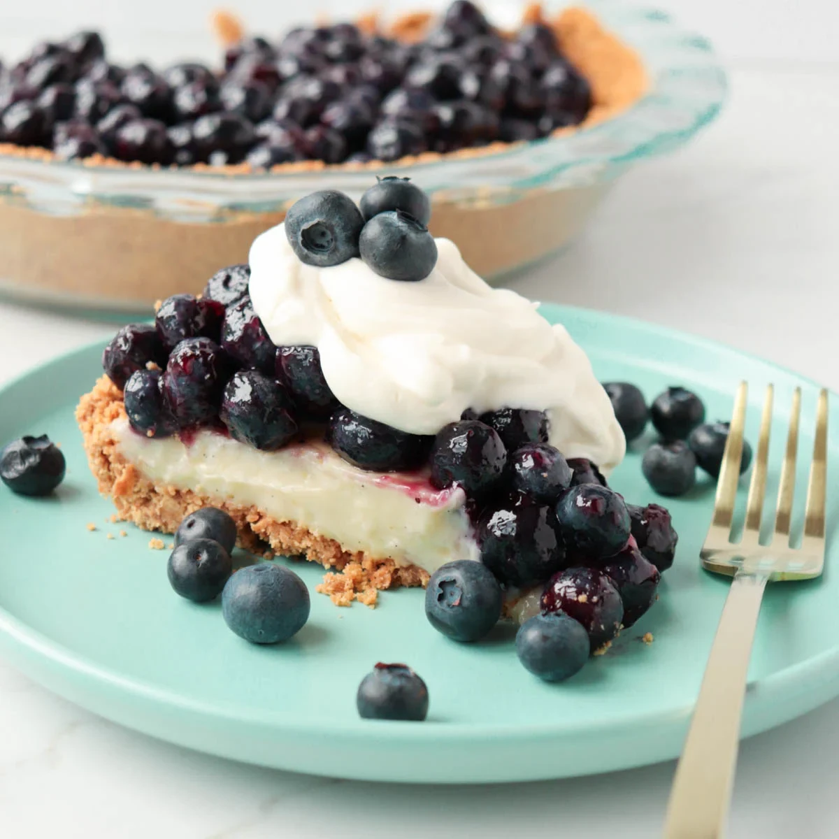 Blueberry Custard Pie