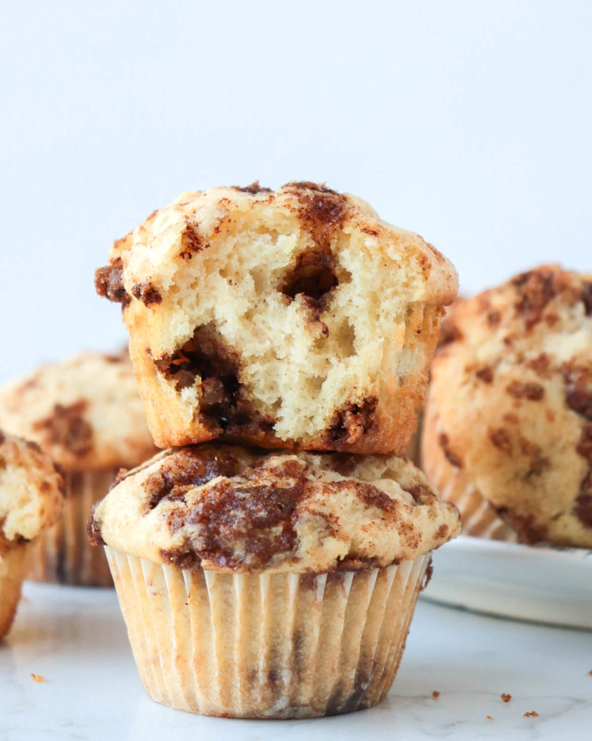Cinnamon Chip Muffins