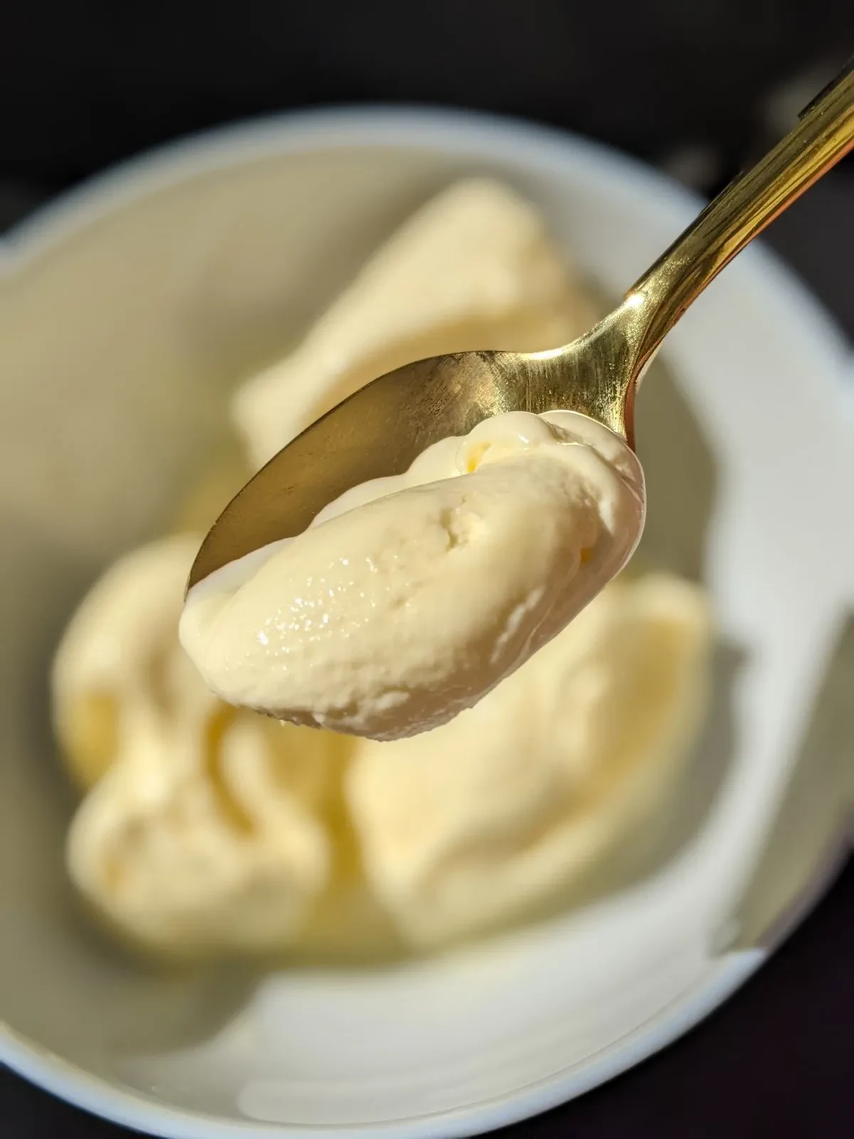 Salted Sweet Cream Frozen Custard