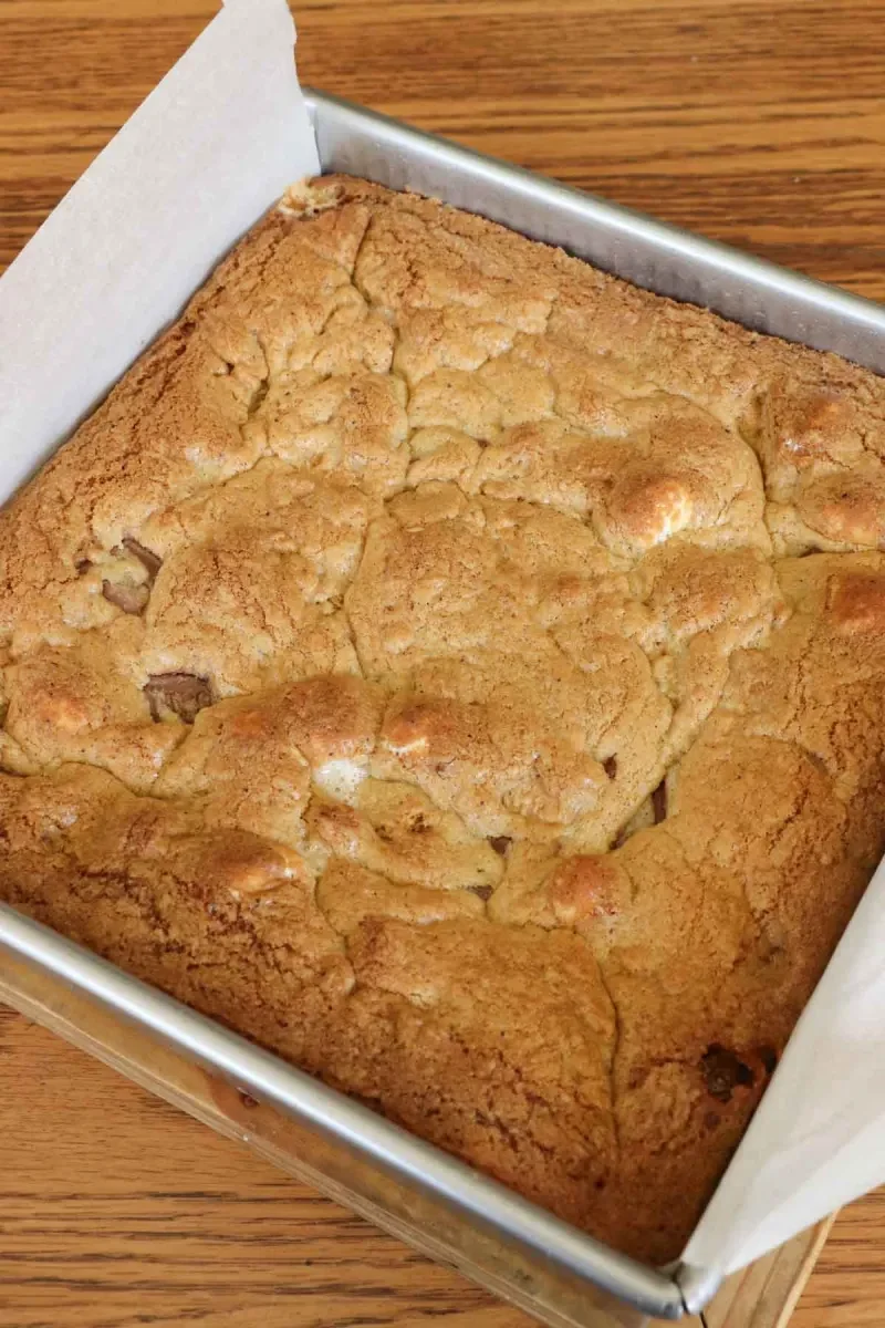 S’mores Cookie Bars with Brown Butter and Toasted Marshmallows